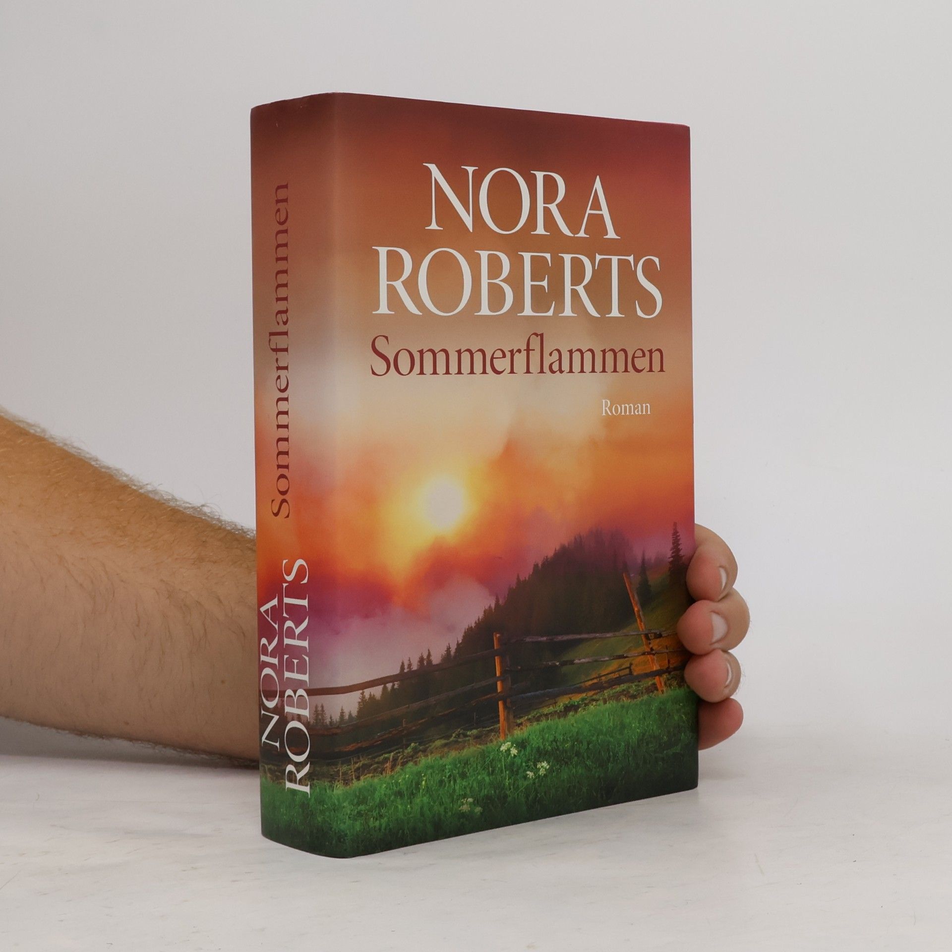 Nora Roberts Sommerflammen