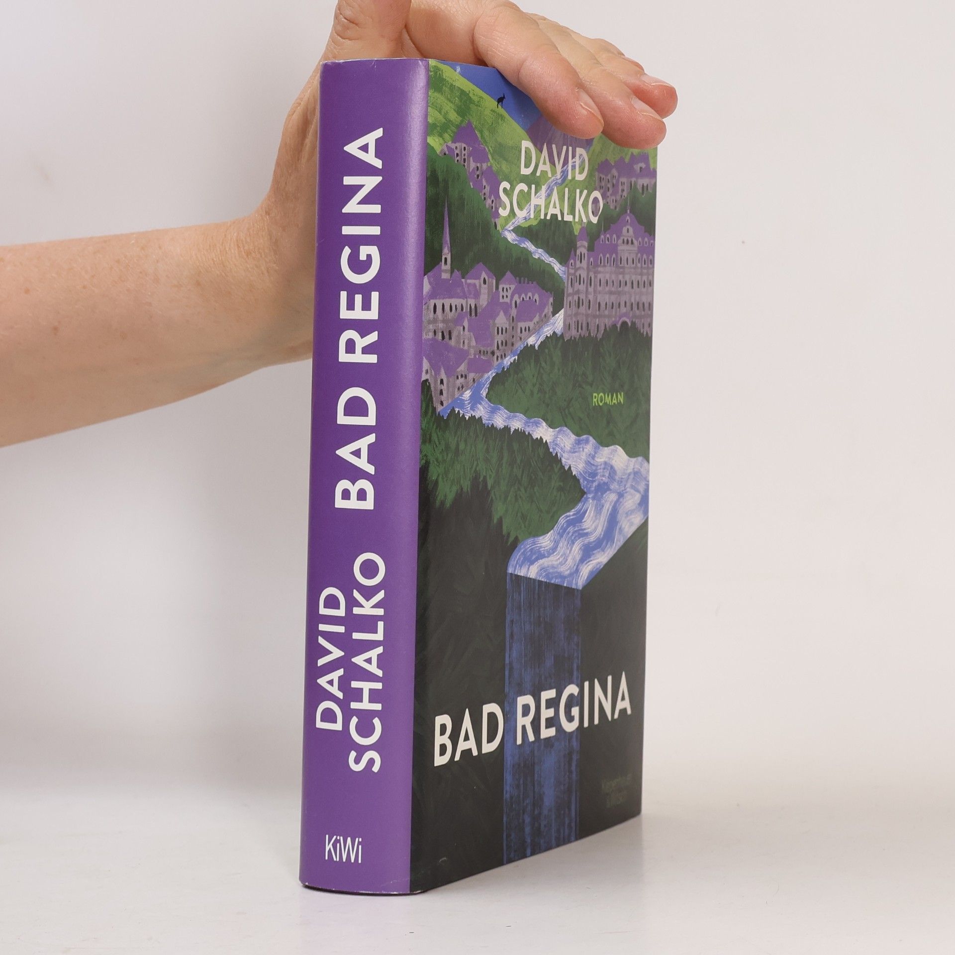 David Schalko Bad Regina