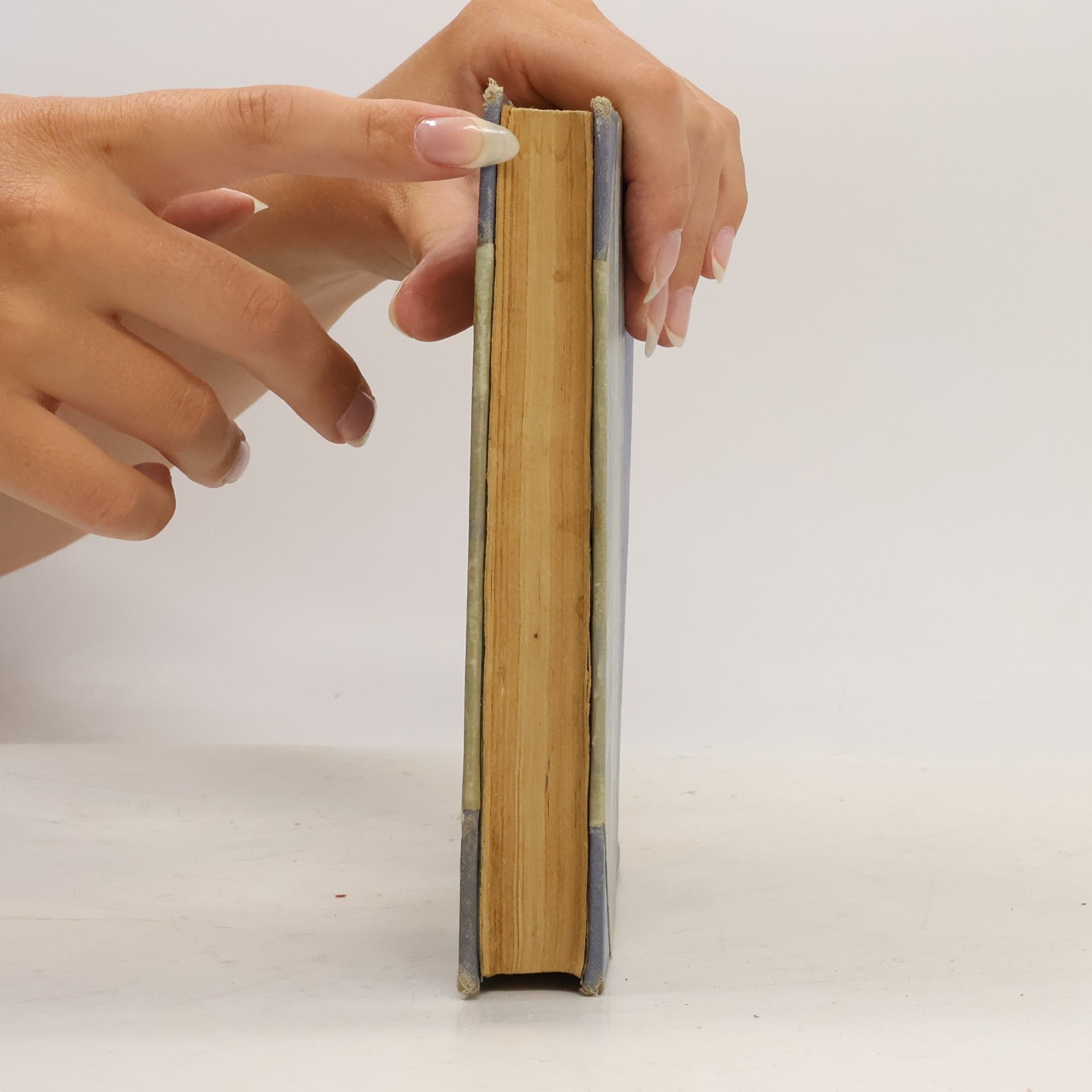 Alexandre Dumas starší Rytíř se železnou pěstí I.