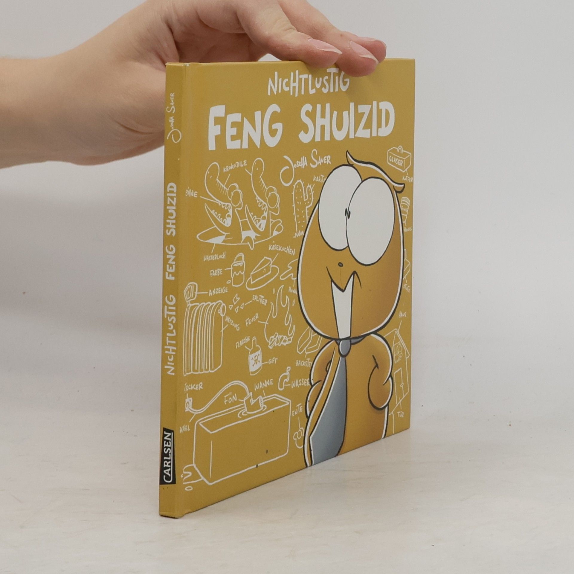 Joscha Sauer Nichtlustig - Feng Shuizid