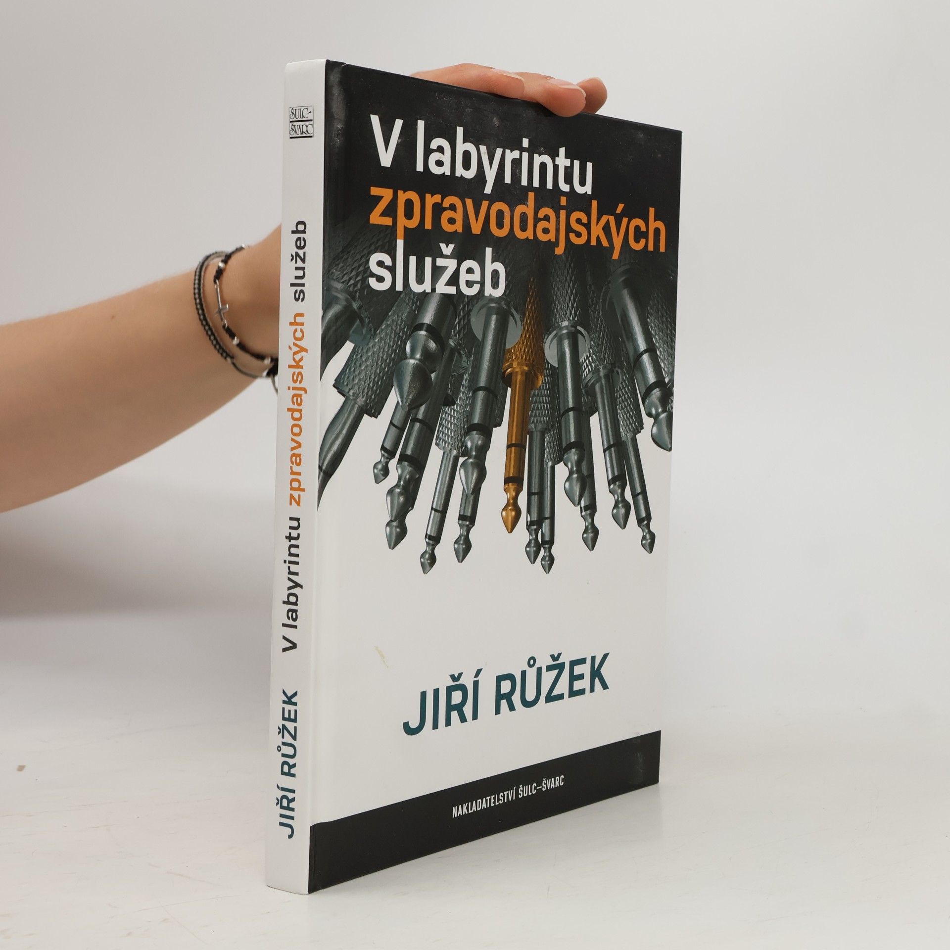 Jiří Růžek V labyrintu zpravodajských služeb