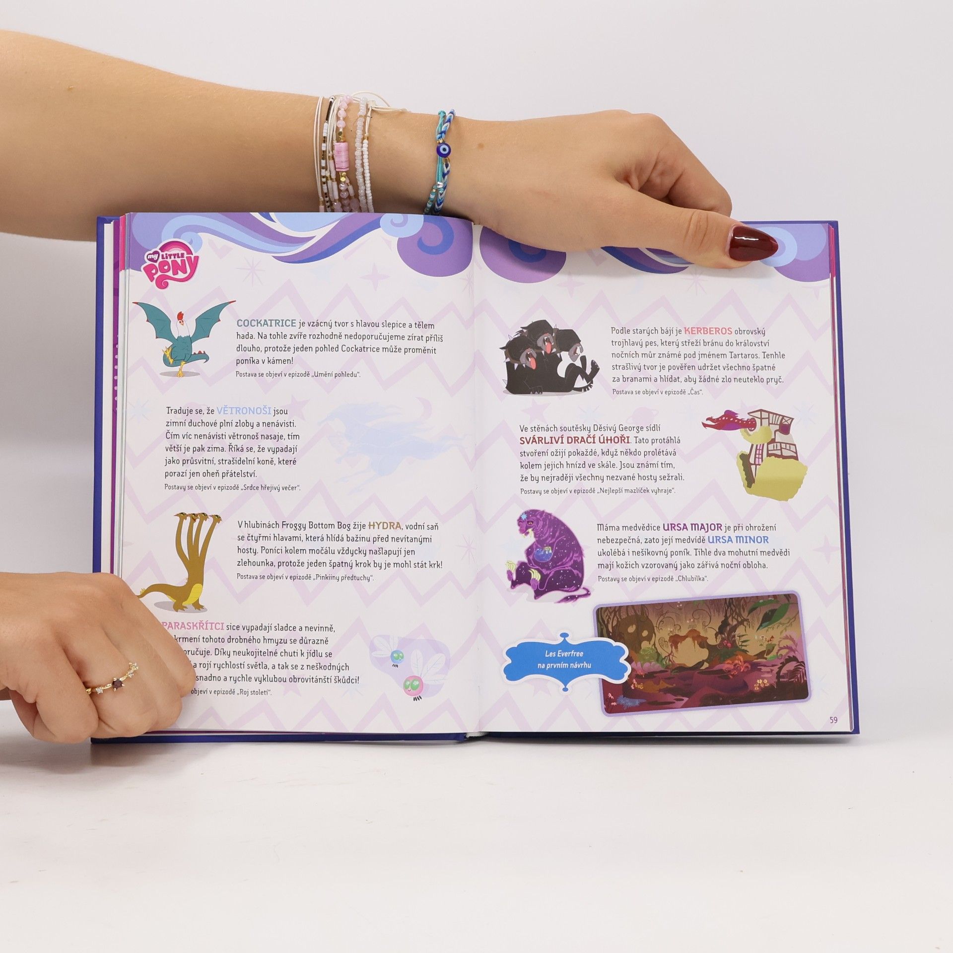 Autorenkollektiv My Little Pony - Elementy harmonie