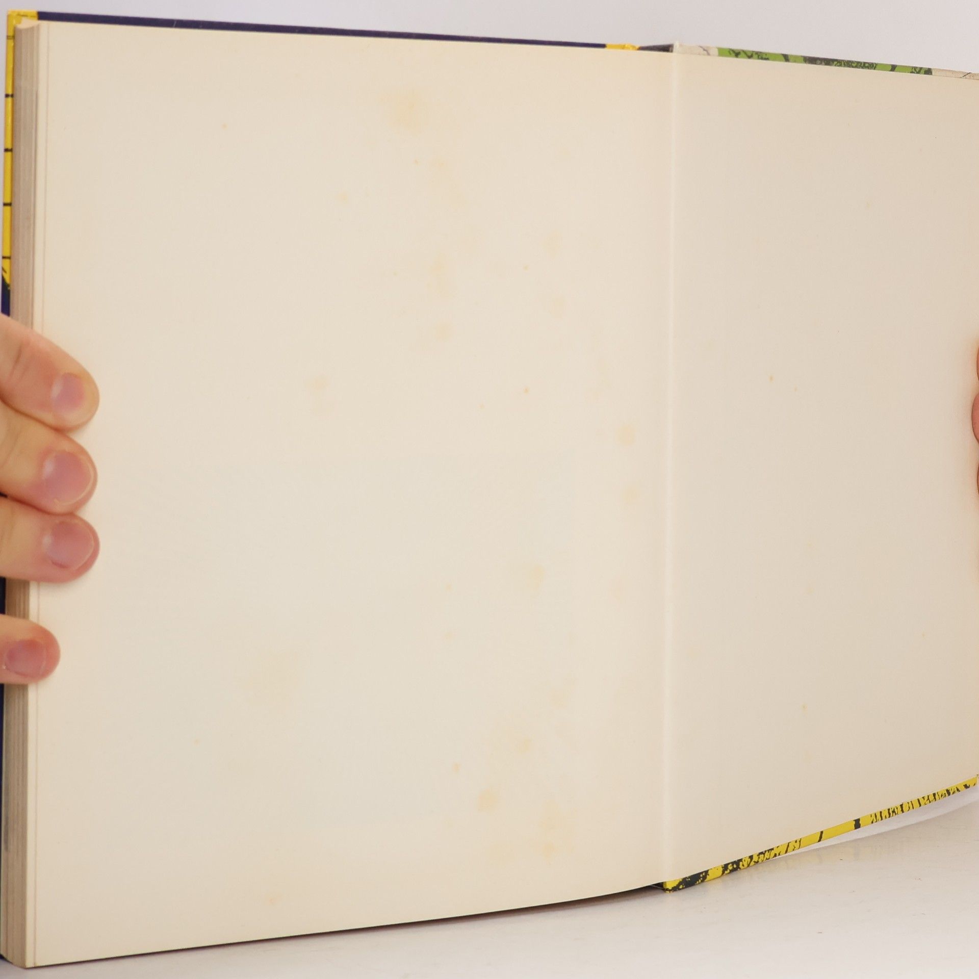 Pierre Monier Alles über Fototricks und Fotogags