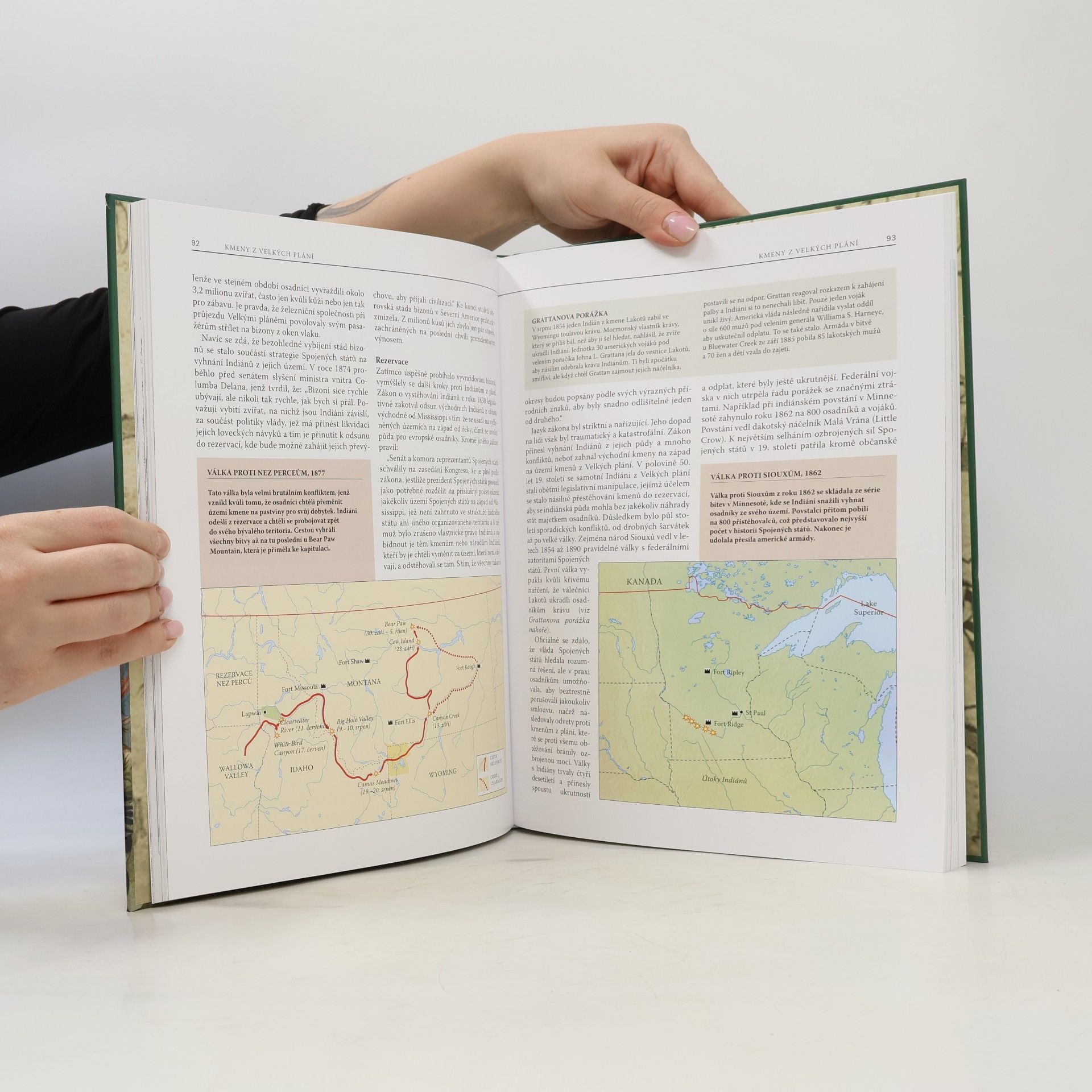 Chris McNab Domorodí válečníci Severní Ameriky : 1500-1890 n.l.