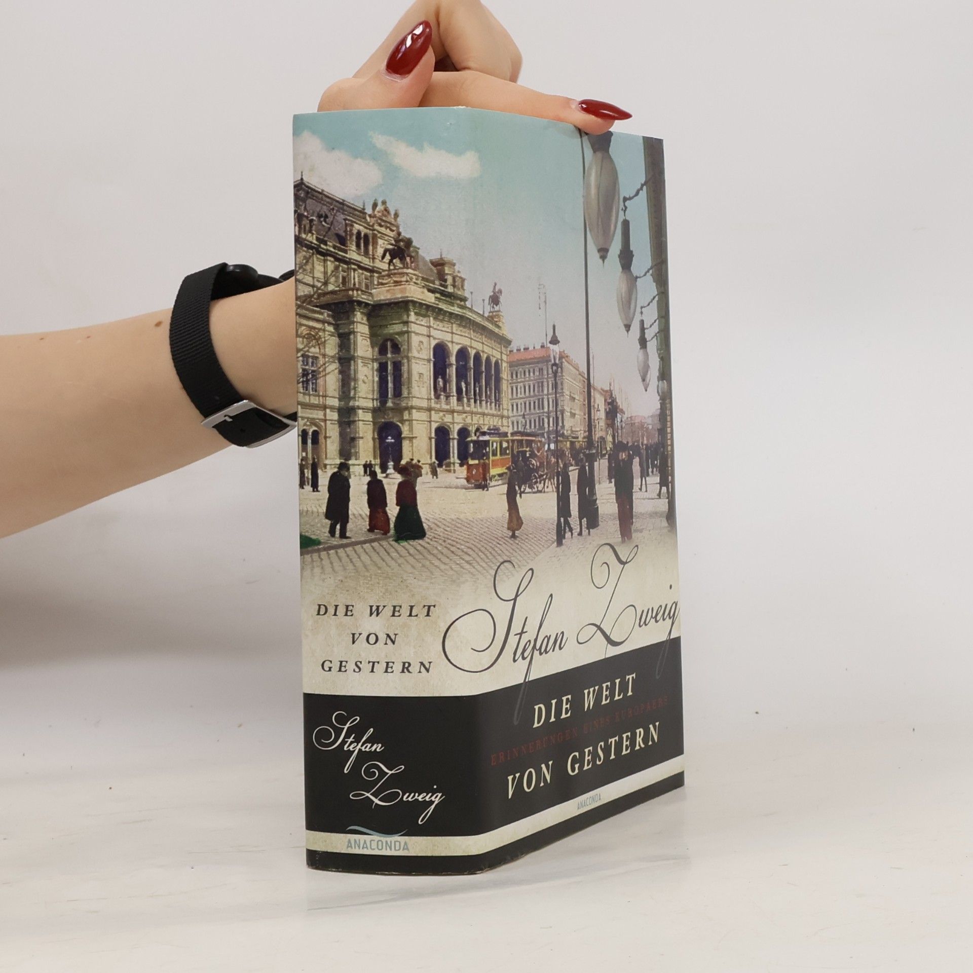 Stefan Zweig Die Welt von Gestern