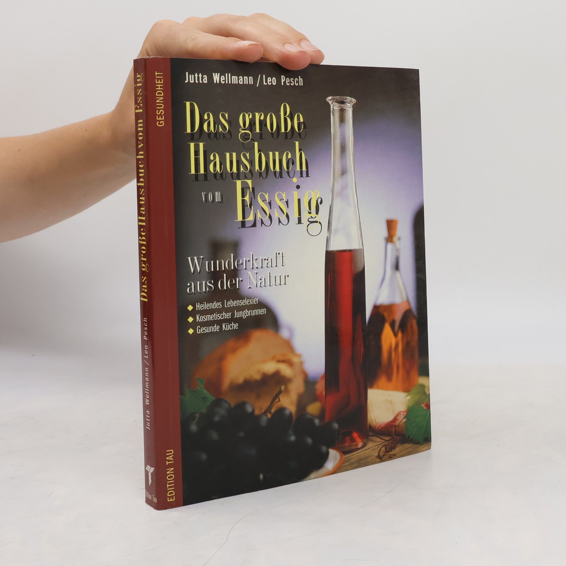 Leo Pesch Das große Hausbuch Essig