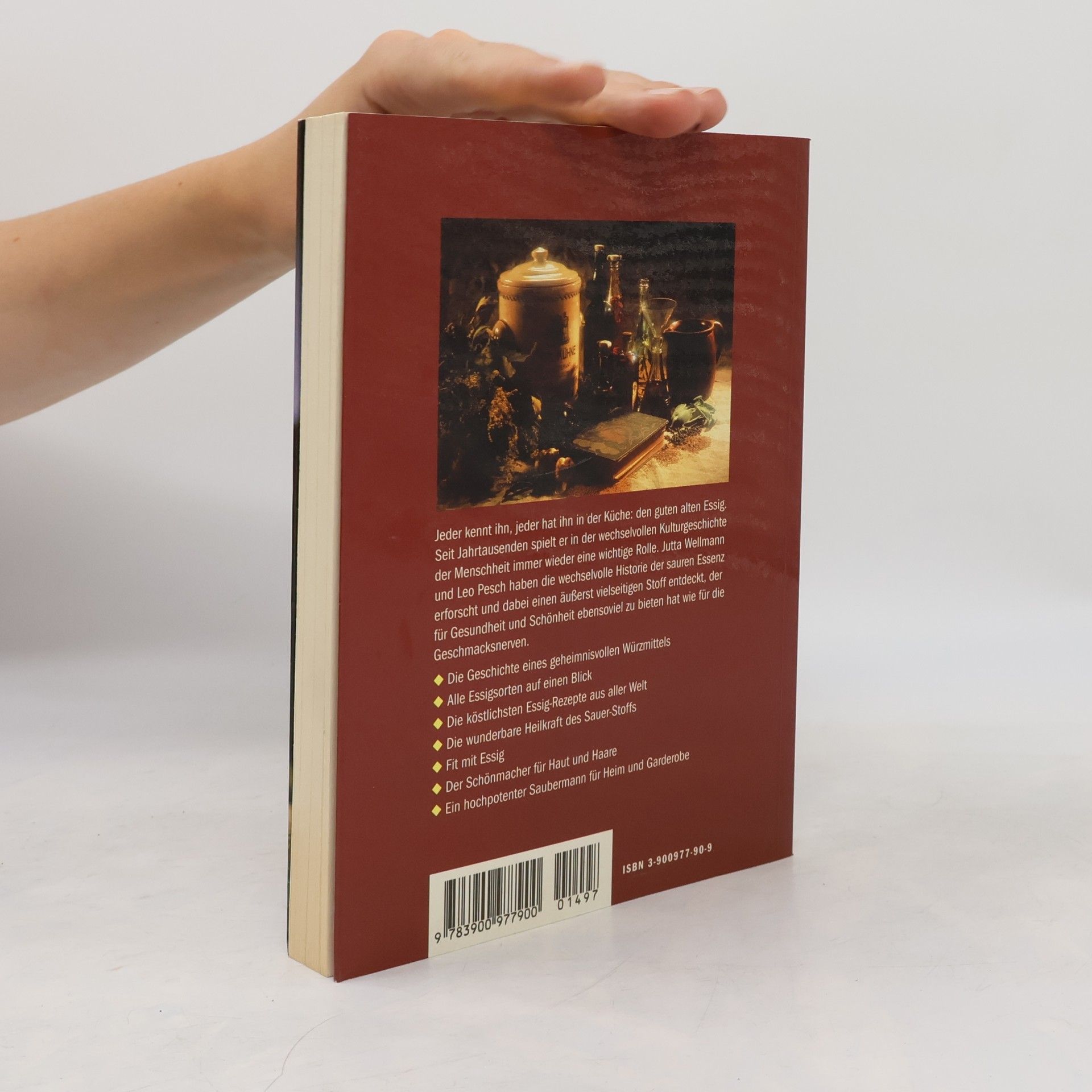 Jutta Wellmann Das große Hausbuch Essig