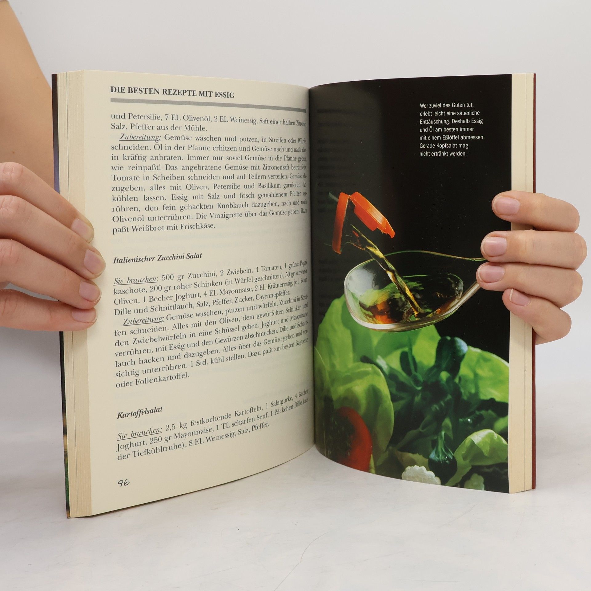 Jutta Wellmann Das große Hausbuch Essig