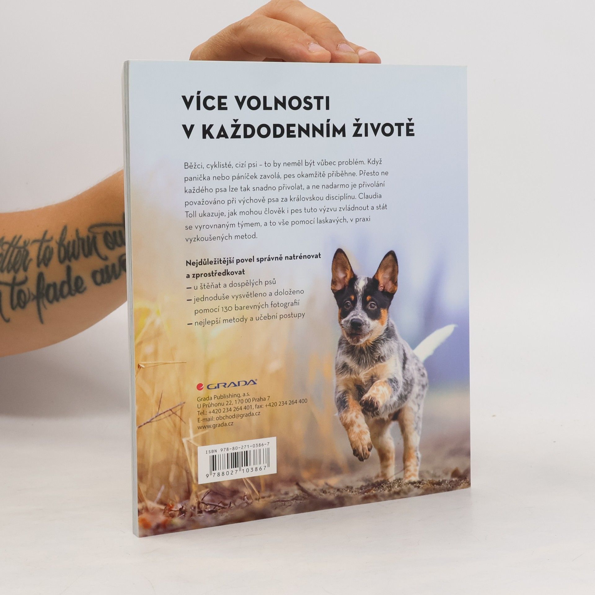 Claudia Toll Nacvičujeme přivolání psa