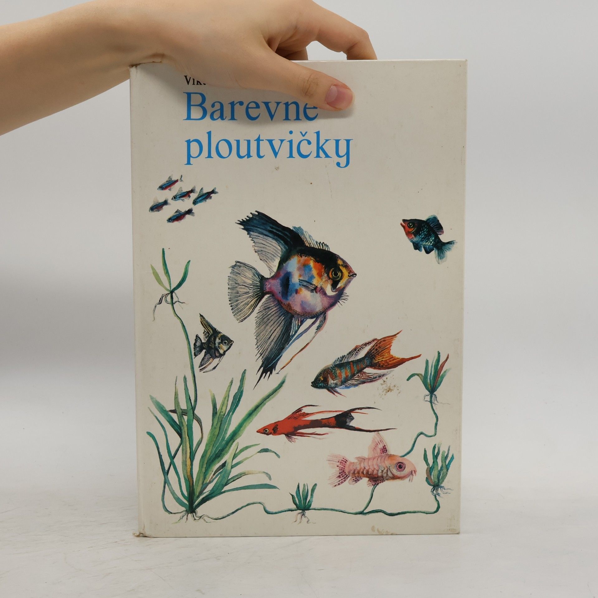 Viktor Dackevič Barevné ploutvičky