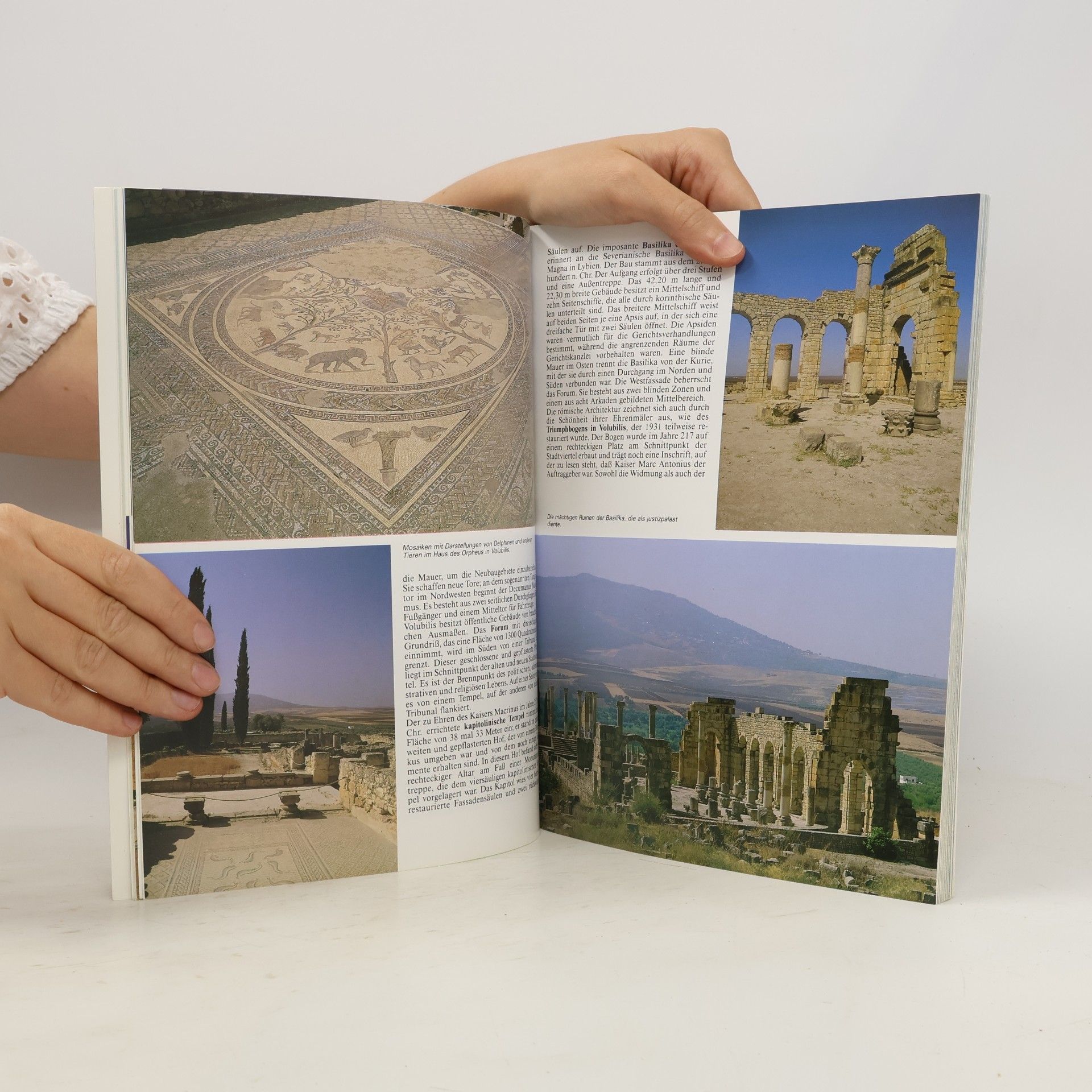 Kolektiv autorů Das goldene Buch von Marokko