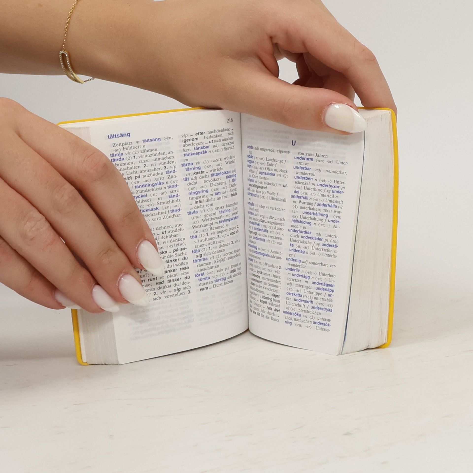 Heike Pleisteiner Langenscheidt Universal-Wörterbuch Schwedisch