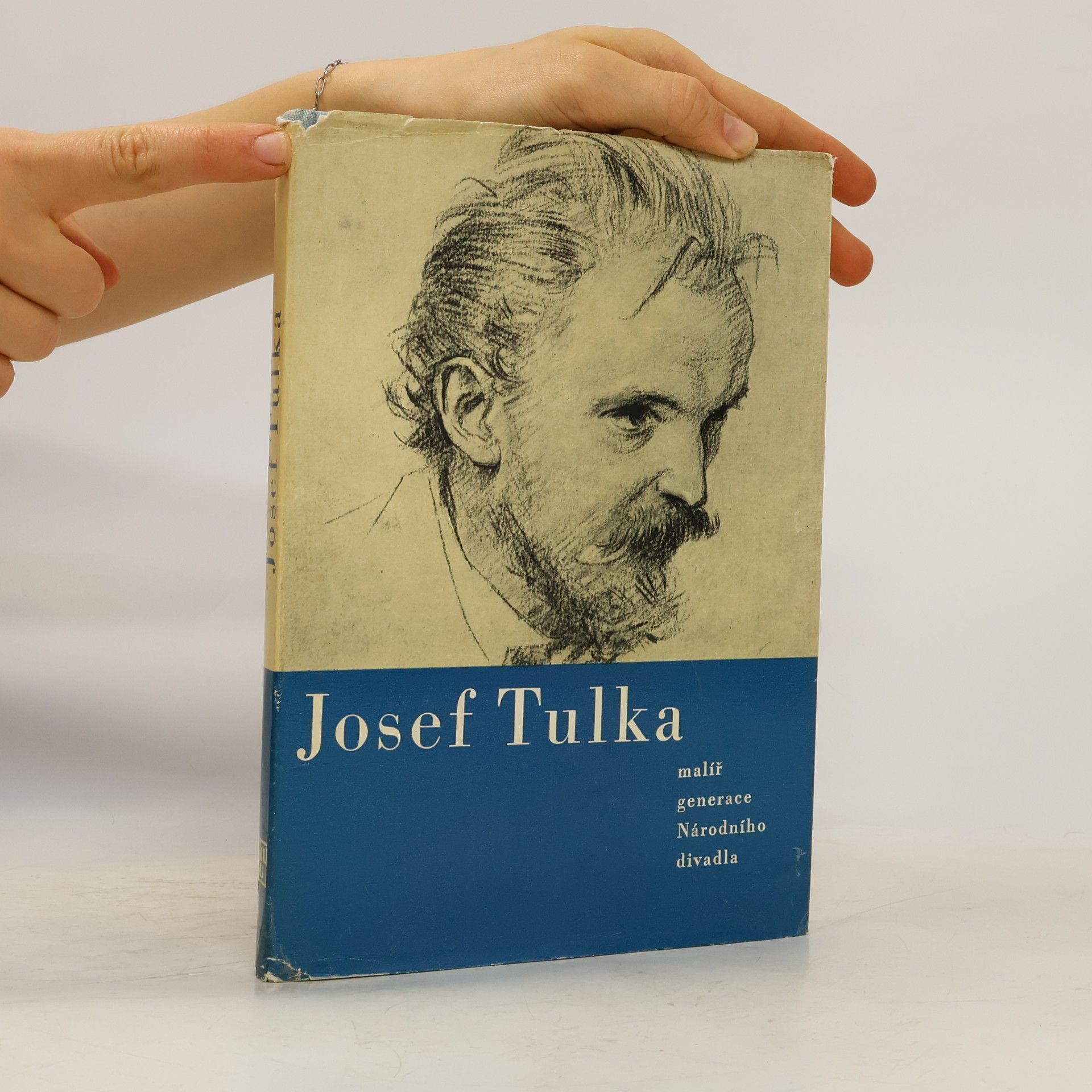 Milena Freimanová Josef Tulka, malíř generace Národního divadla