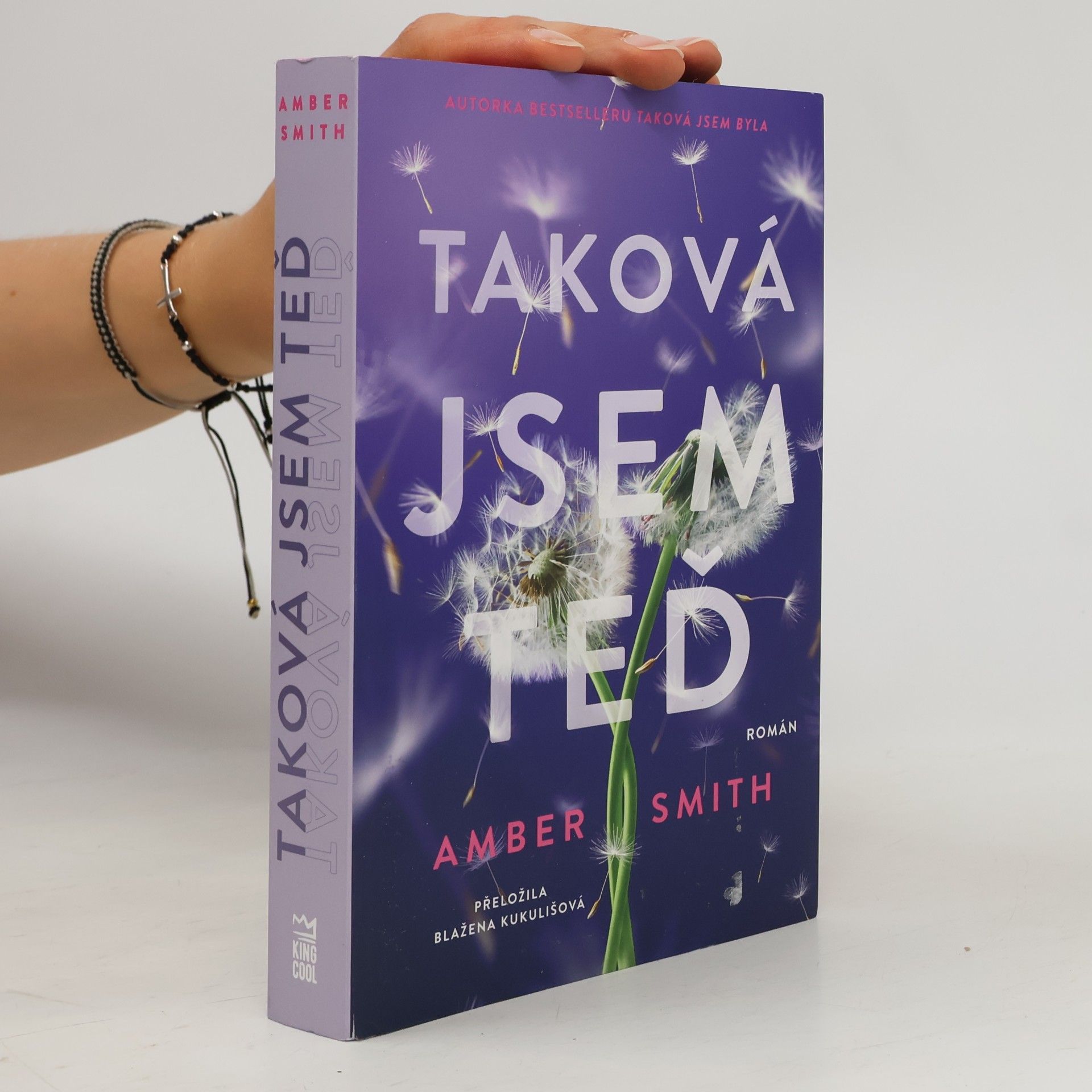 Amber Smith Taková jsem teď