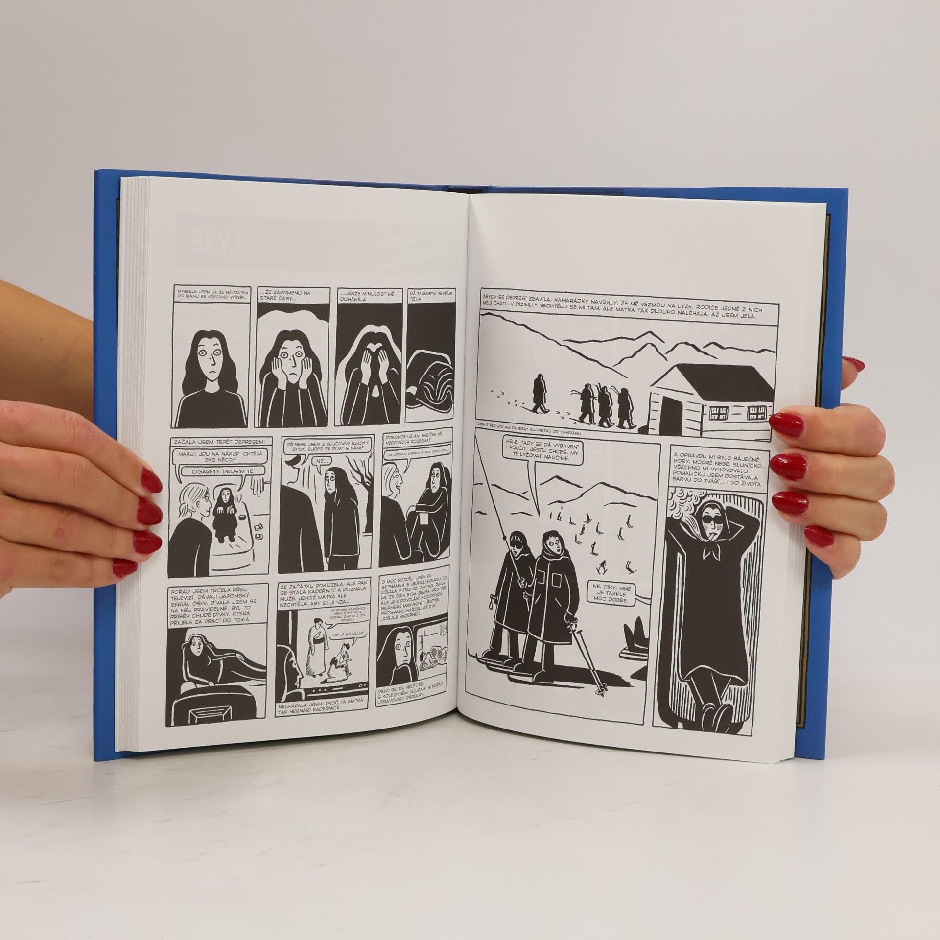 Marjane Satrapi Persepolis 2