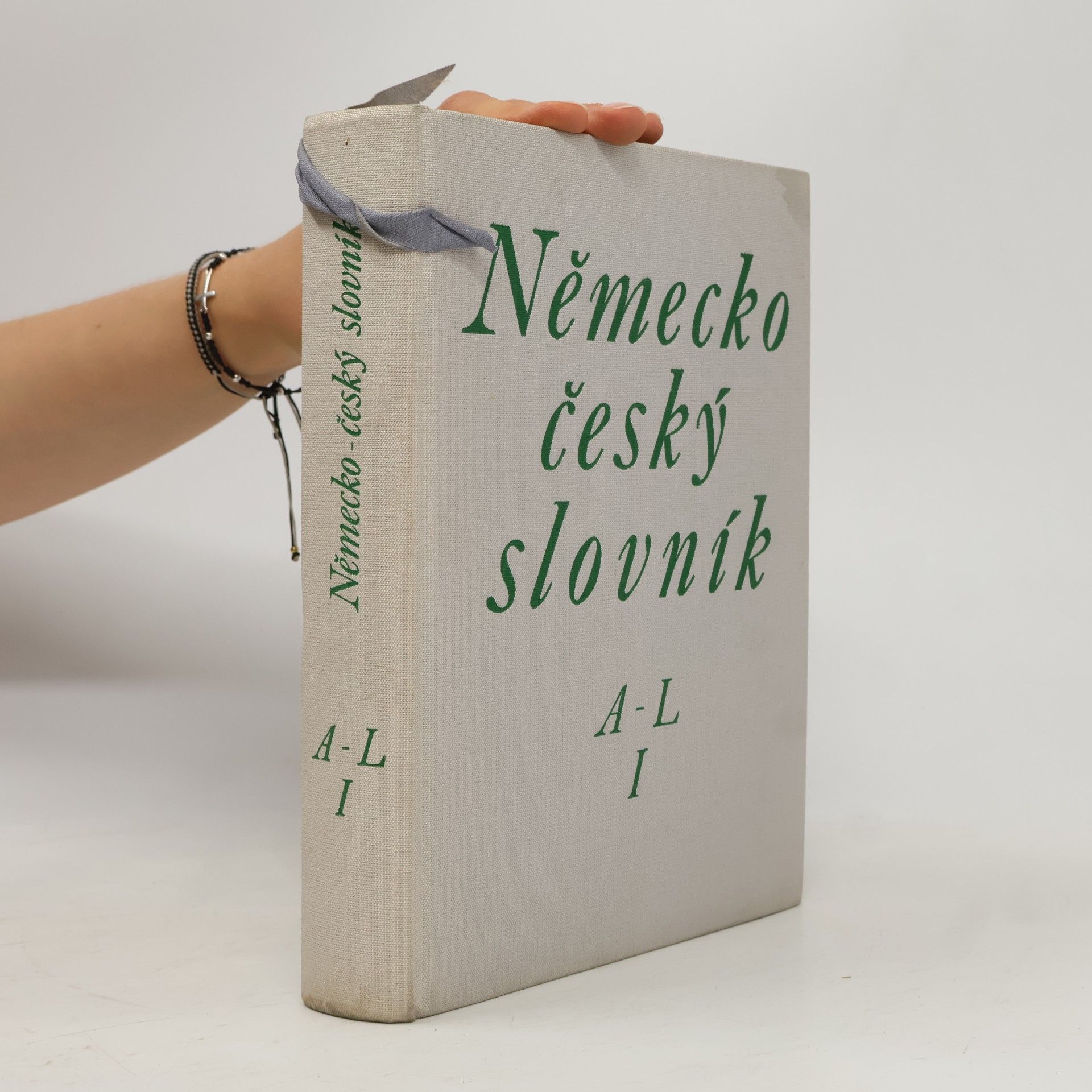 Autorenkollektiv Německo-český slovník I. A-L