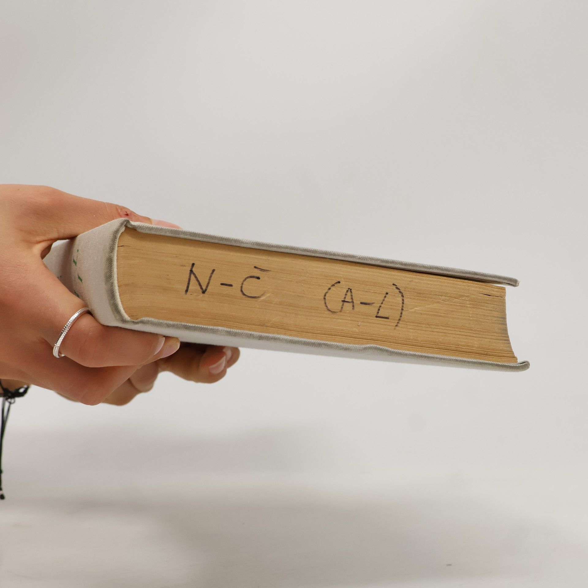 Autorenkollektiv Německo-český slovník I. A-L