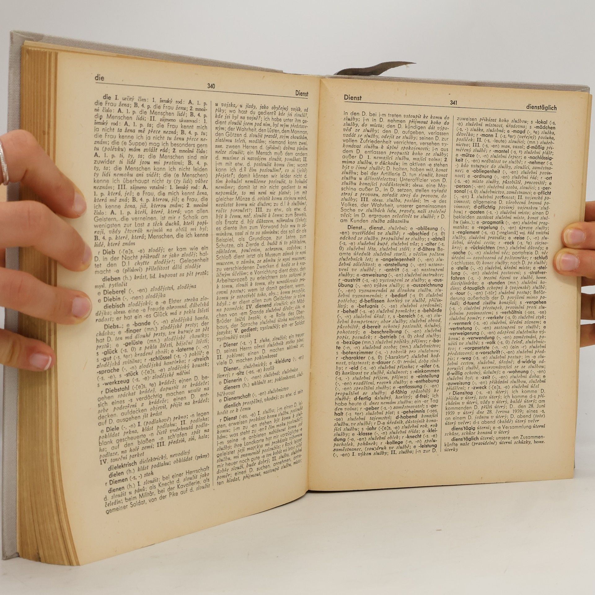 Autorenkollektiv Německo-český slovník I. A-L