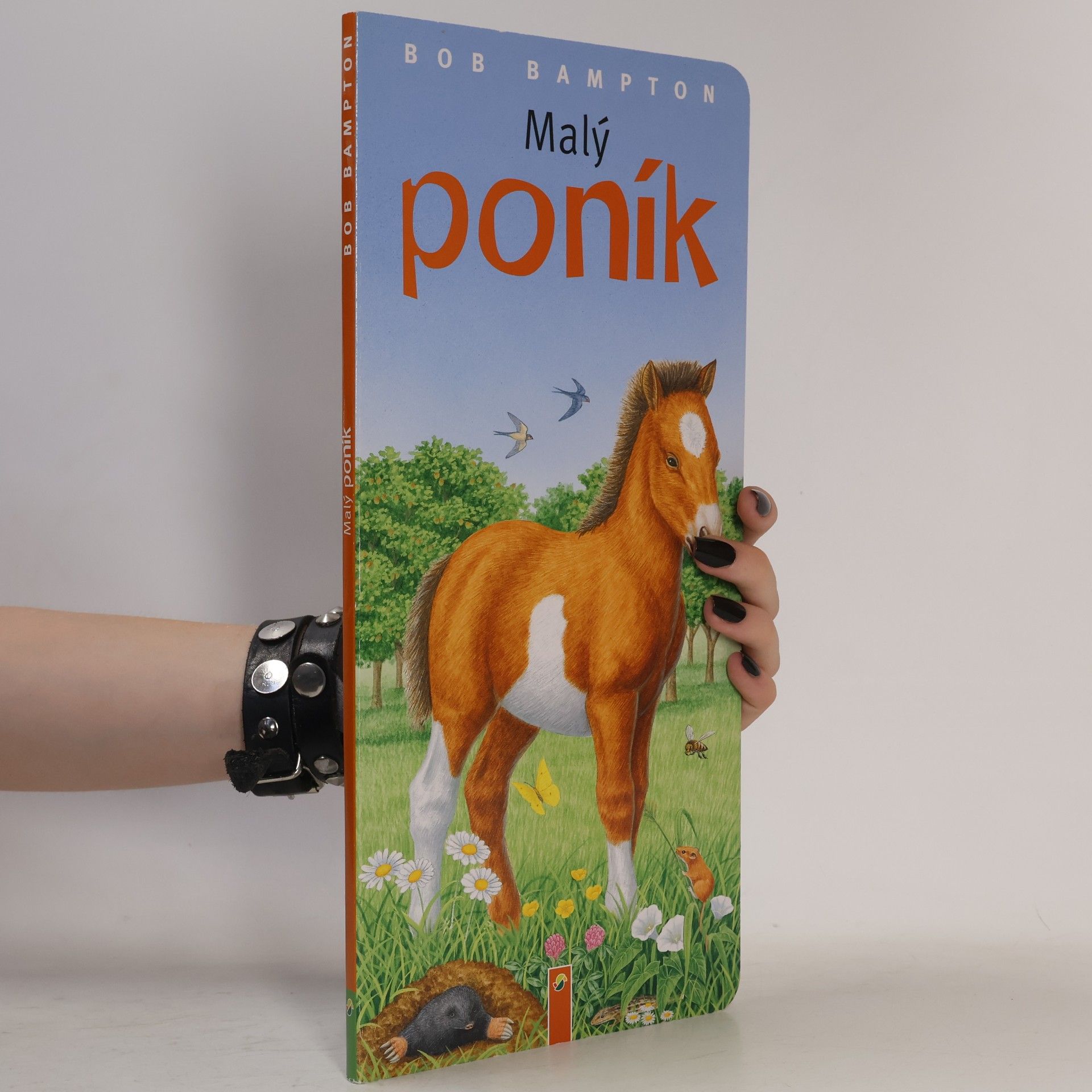 Bob Bampton Malý poník
