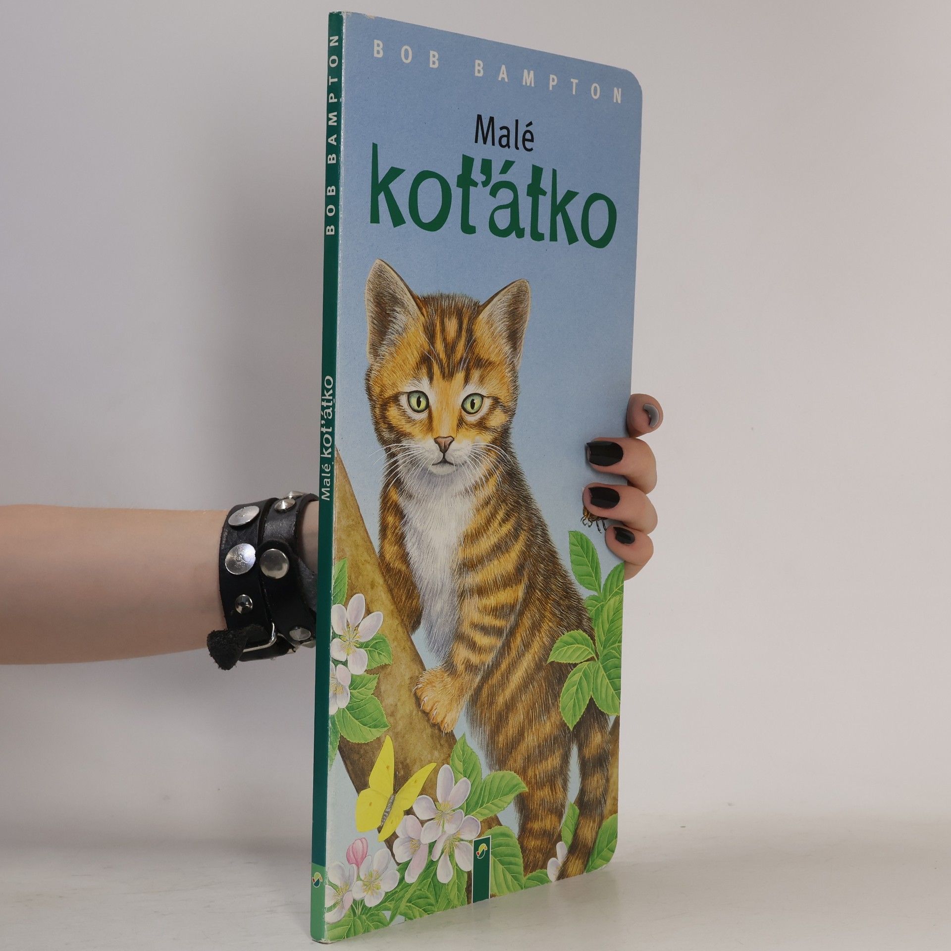 Bob Bampton Malé koťátko