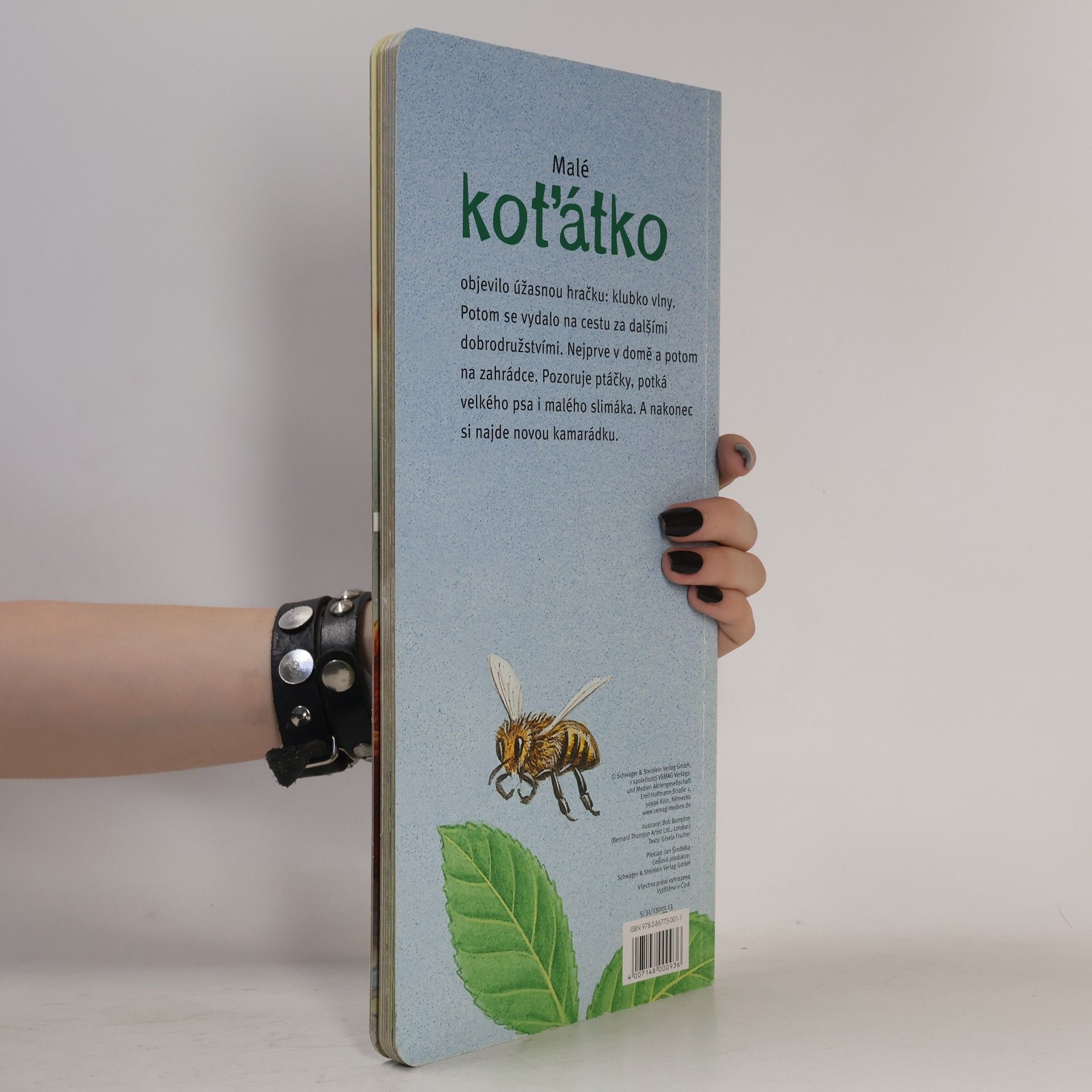 Bob Bampton Malé koťátko