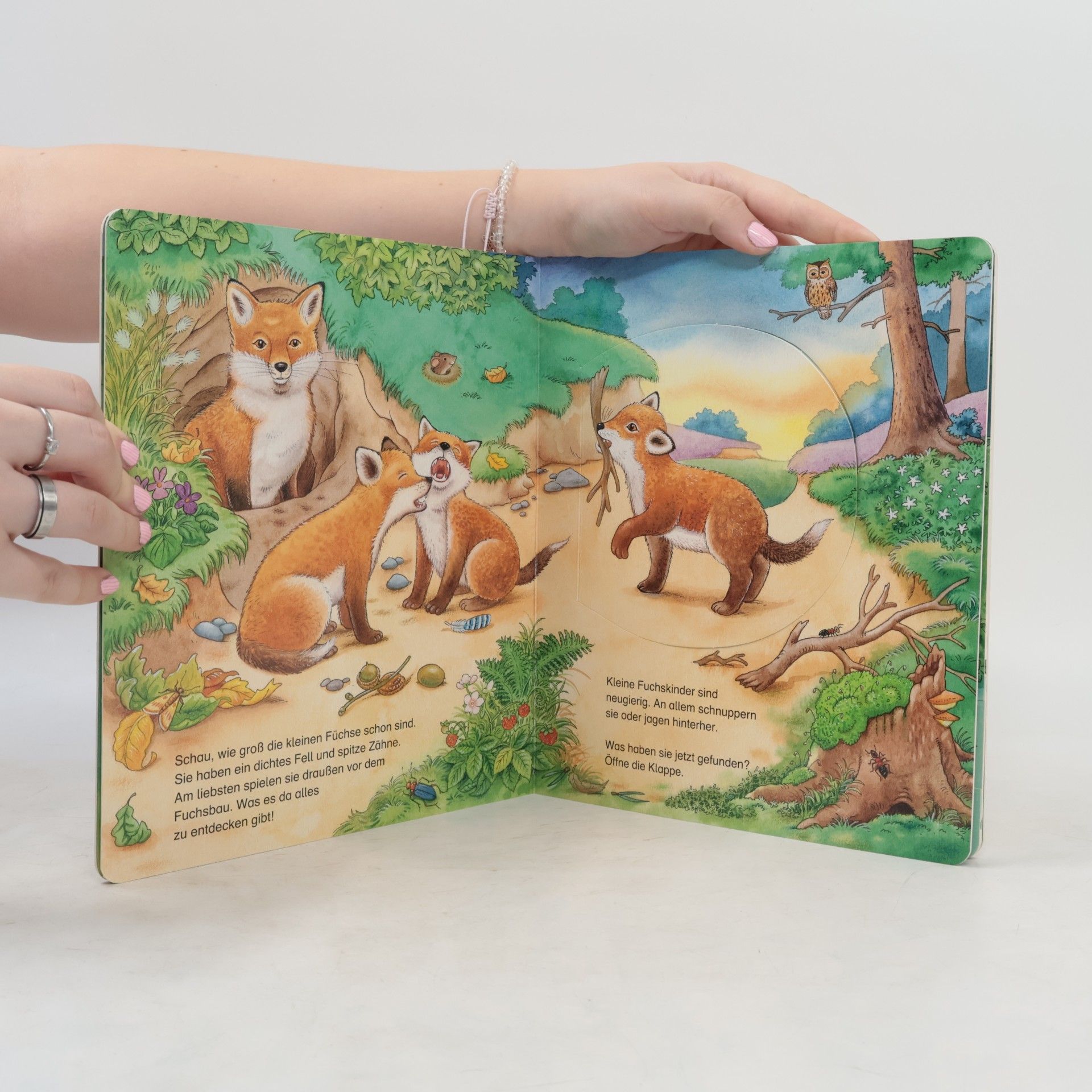 Various authors Entdecke die Tiere: Der kleine Fuchs