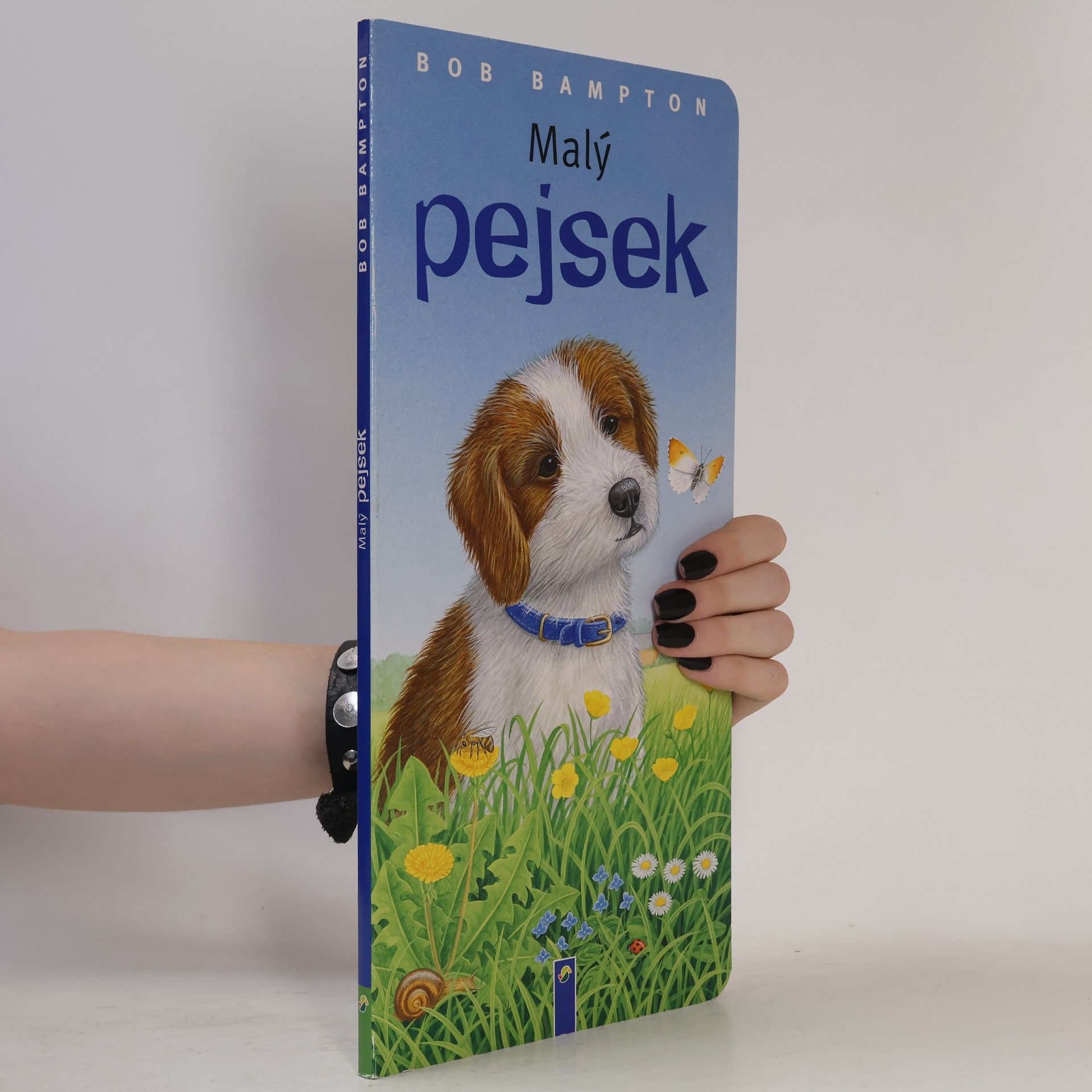 Malý pejsek