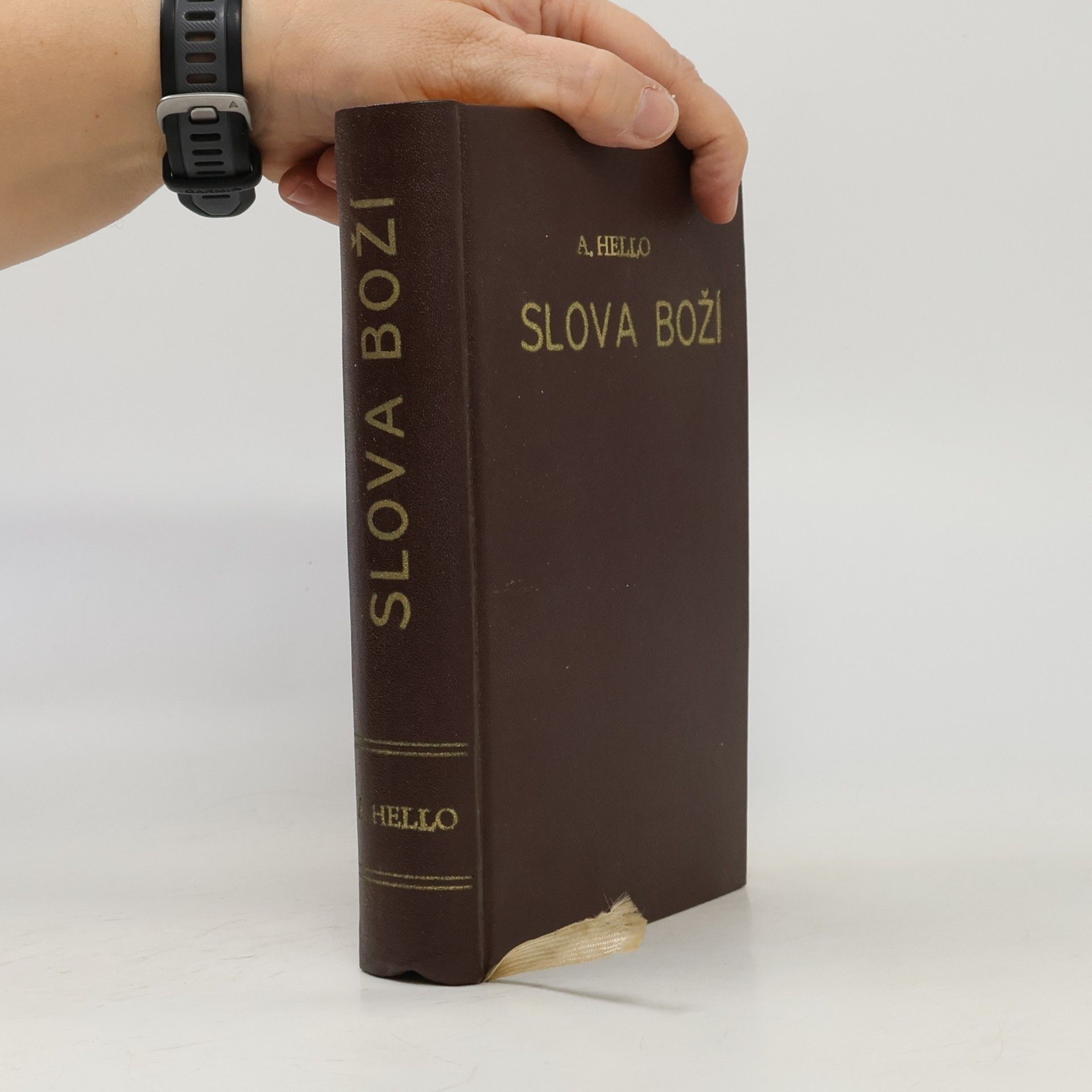 Ernest Hello Slova Boží, Dobré dílo XXIII