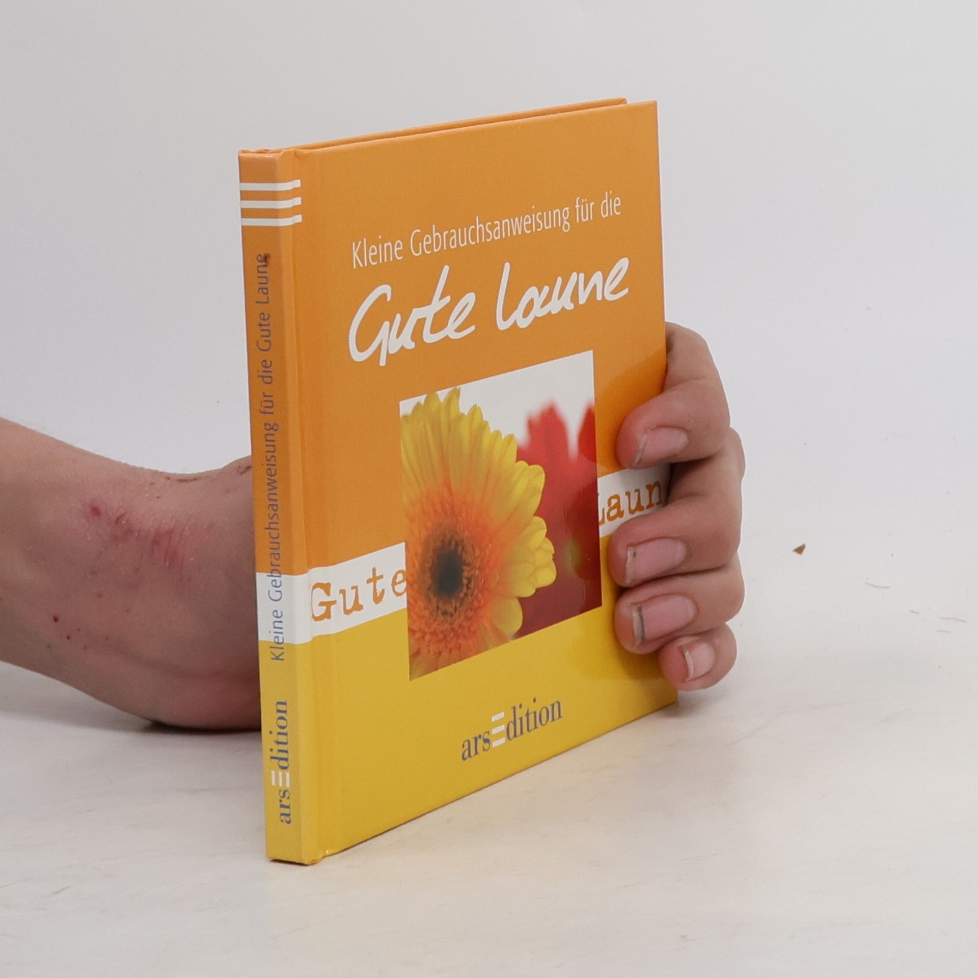 Autorenkollektiv Kleine Gebrauchsanweisung für die gute Laune