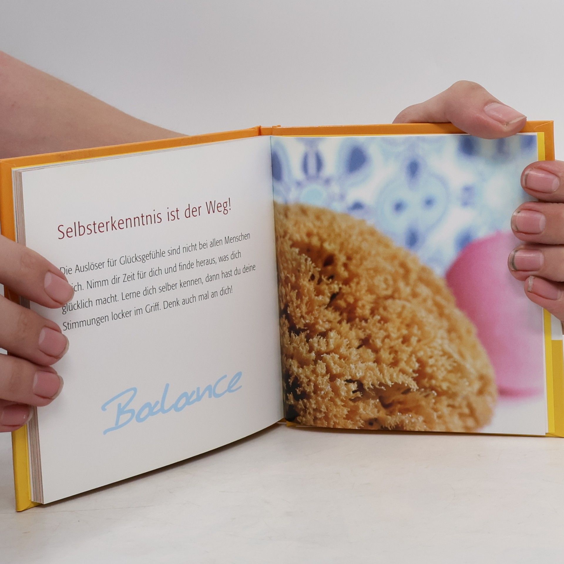 Autorenkollektiv Kleine Gebrauchsanweisung für die gute Laune
