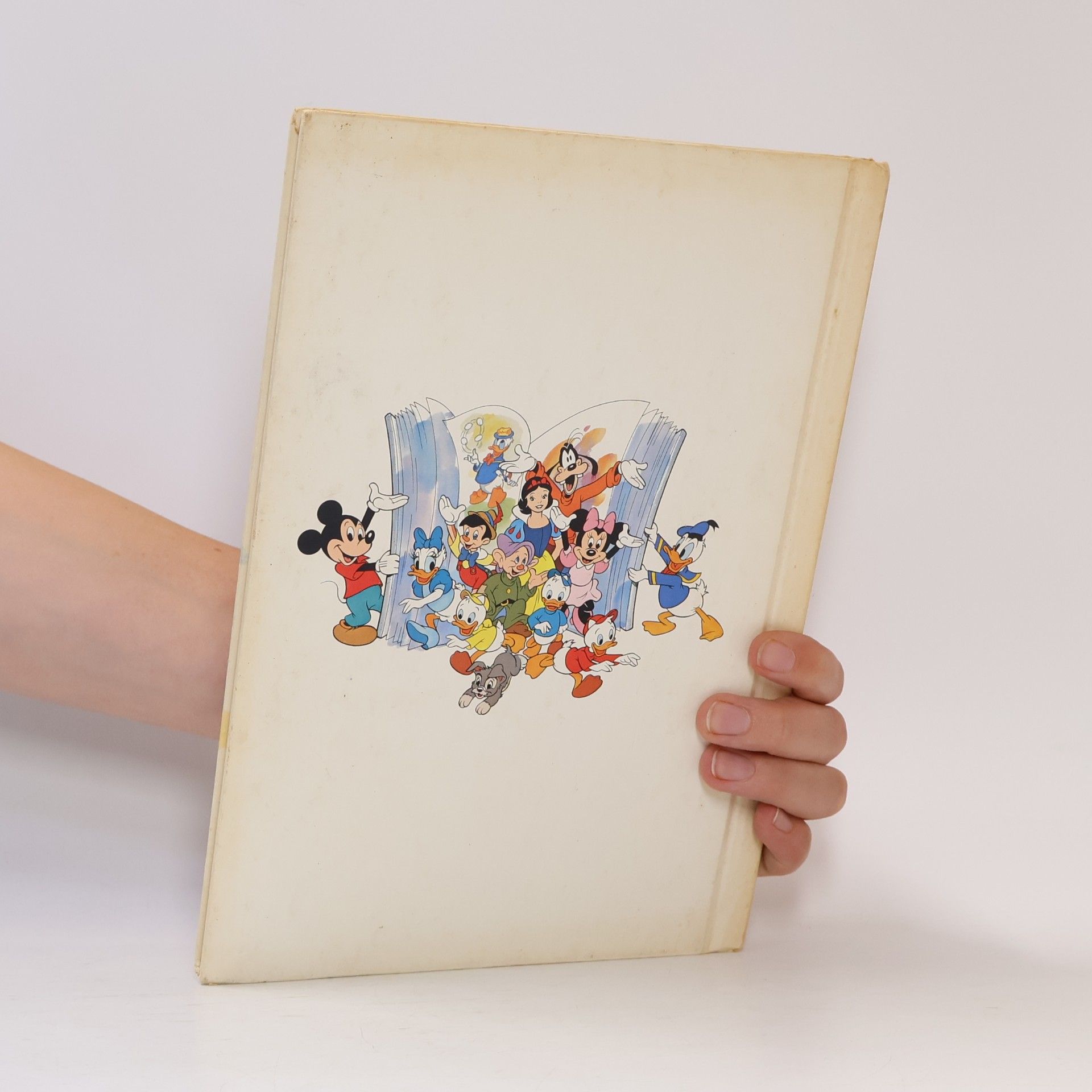 Various authors Donald and Daisy's Day at the Beach