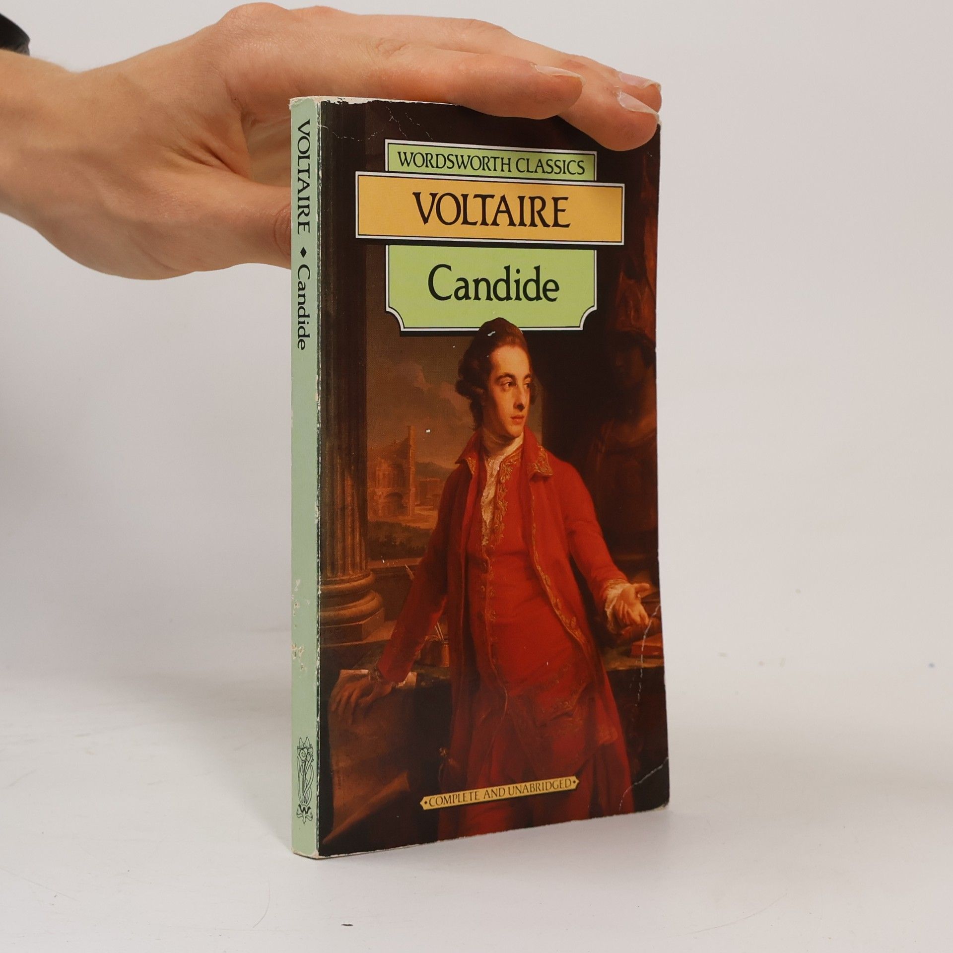 Voltaire Candide or optimism