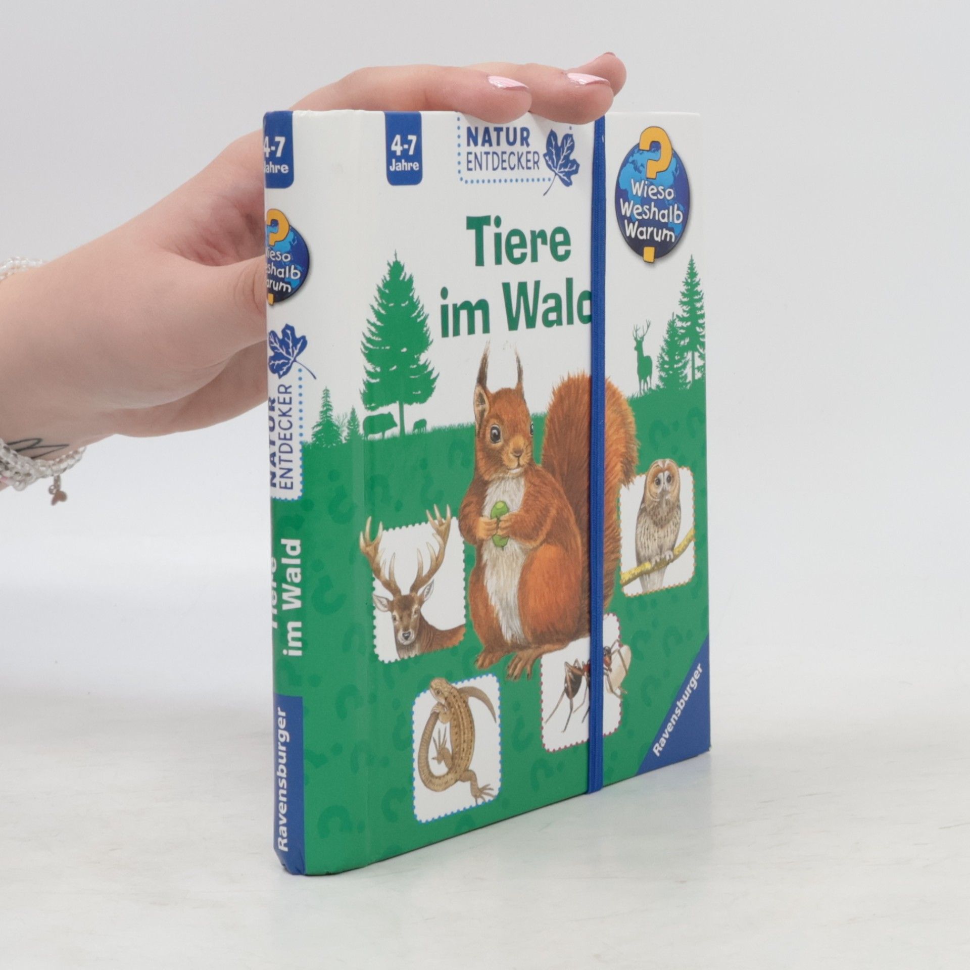 Christine Henkel Tiere im Wald