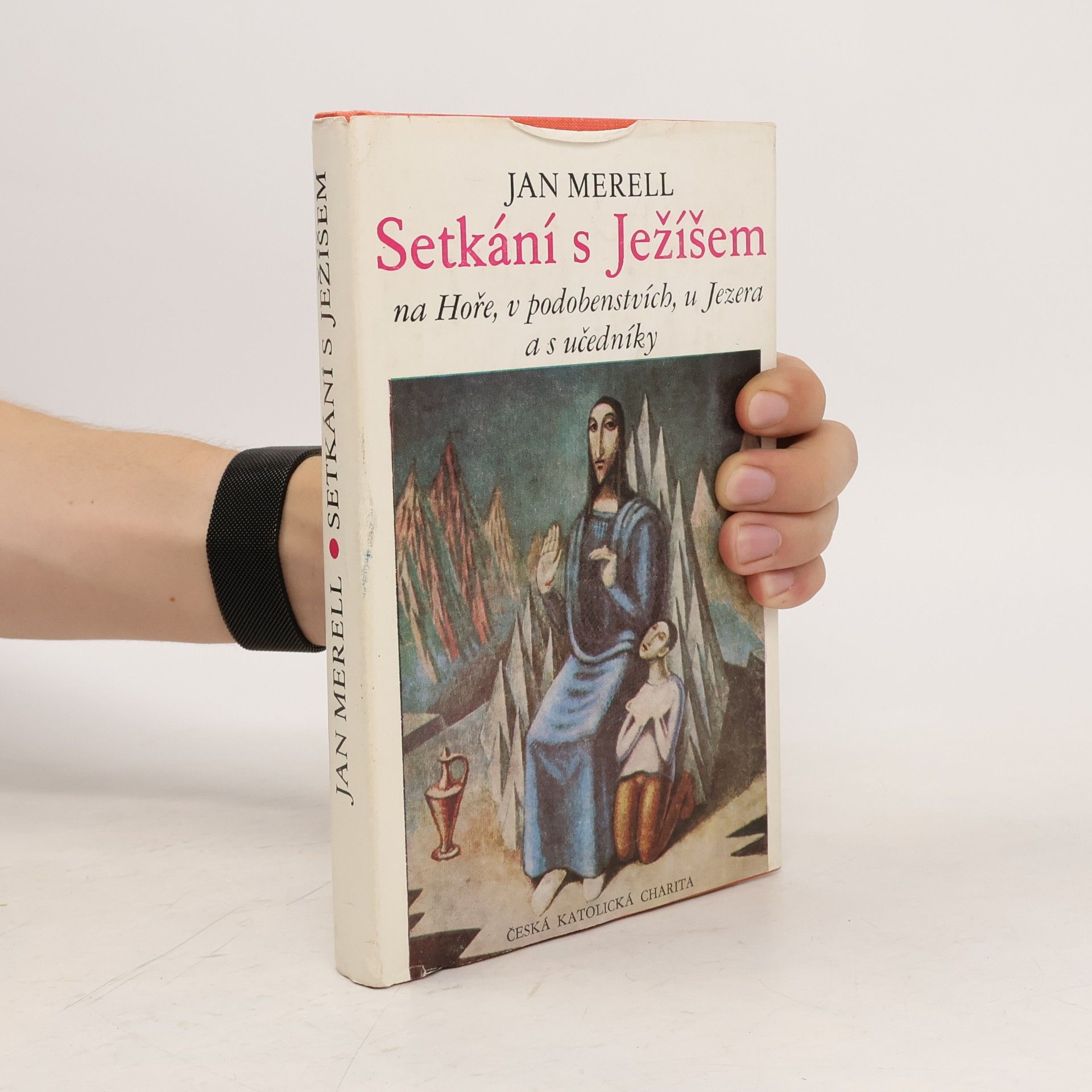 Setkání s Ježíšem na Hoře, v podobenstvích, u Jezera a s učedníky