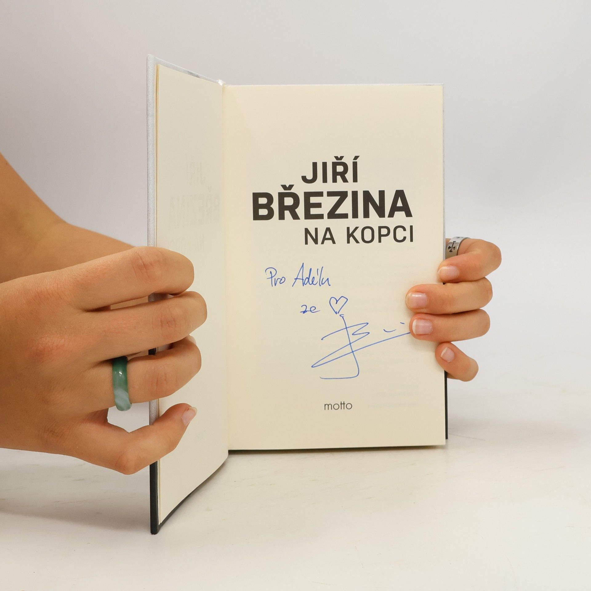 Jiří Březina Na kopci