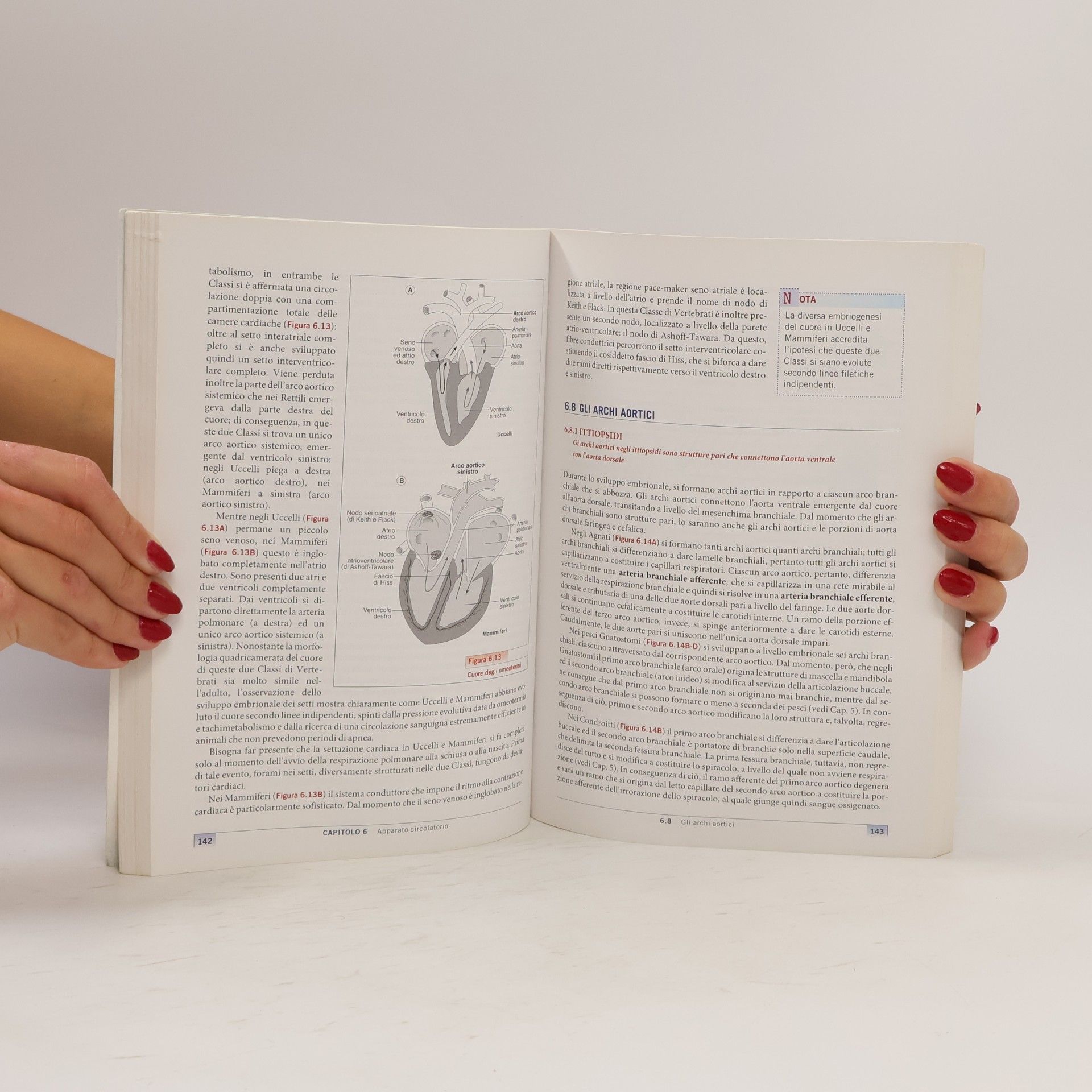 Erminio Giavini Manuale di anatomia comparata