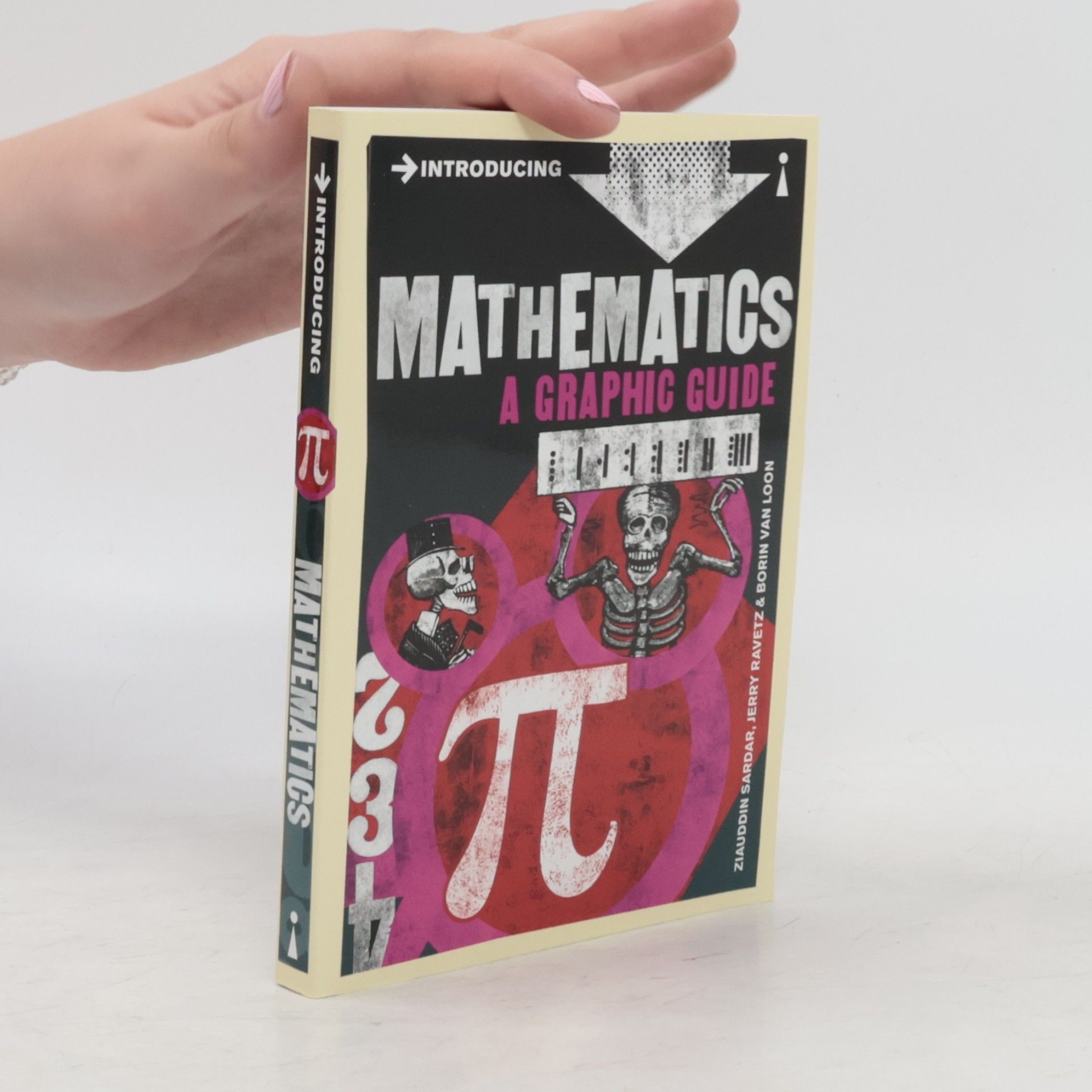 Introducing Mathematics : A Graphic Guide