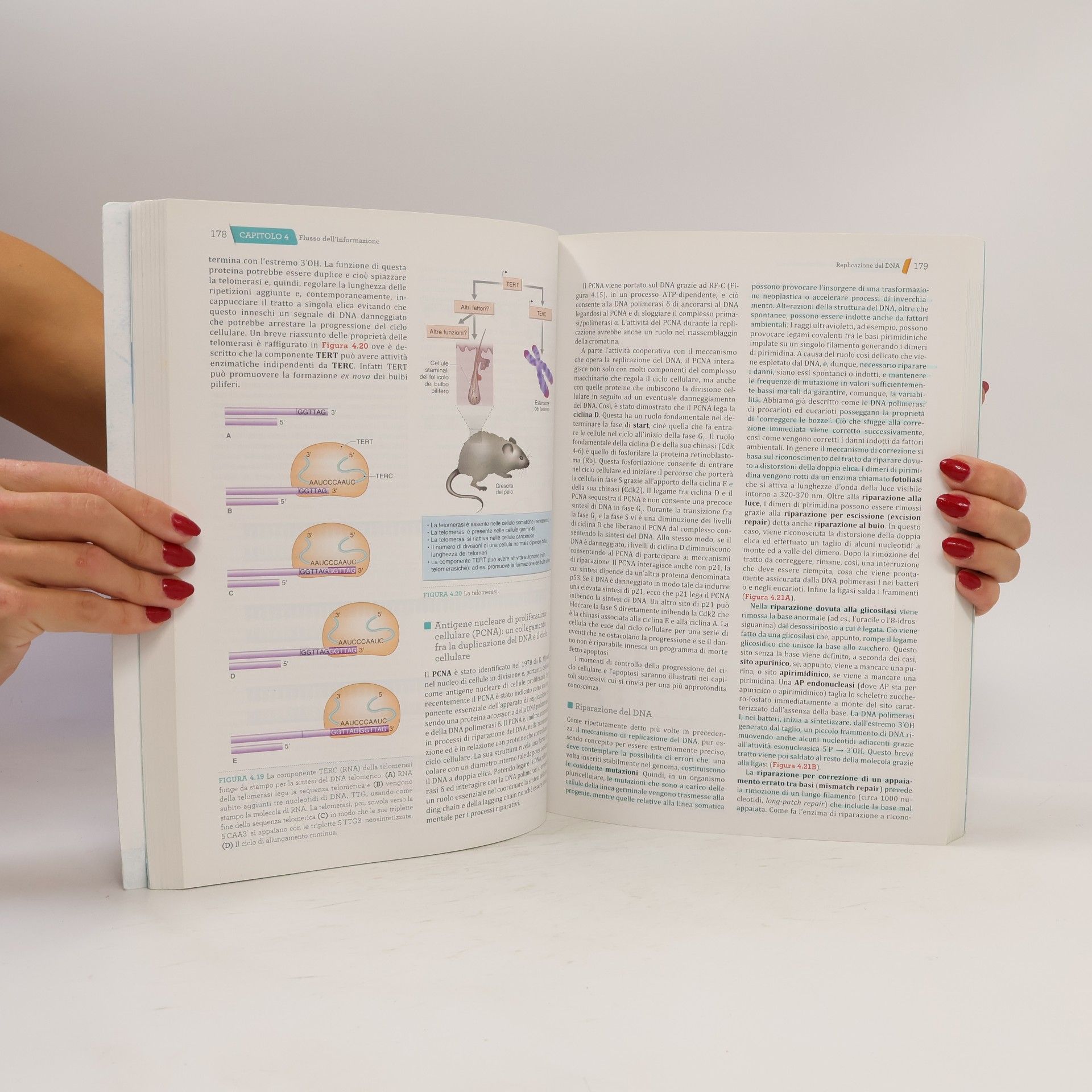 De Leo, Giacomo Biologia e genetica. Con e-book. Con software di simulazione