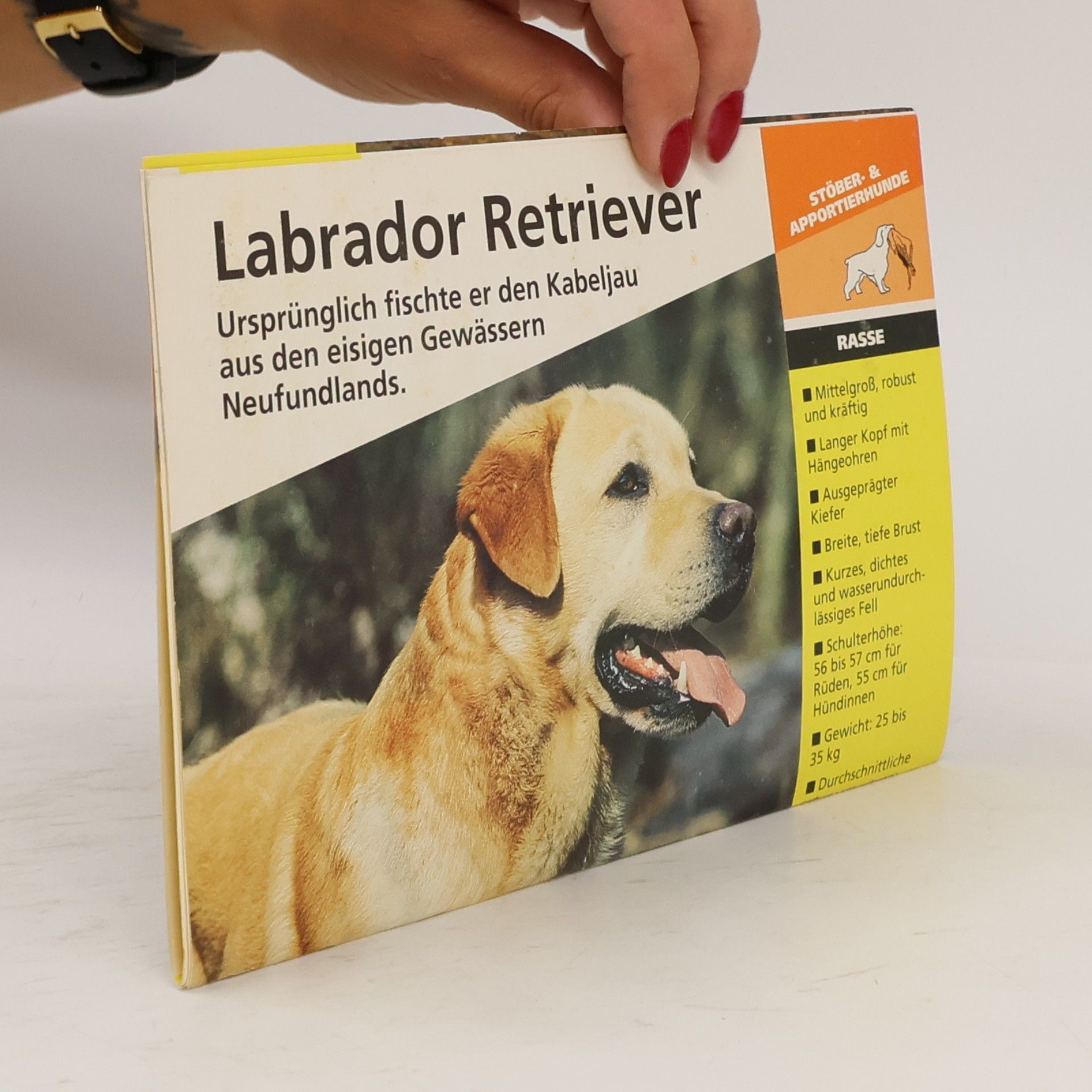 Various authors Labrador Retriever