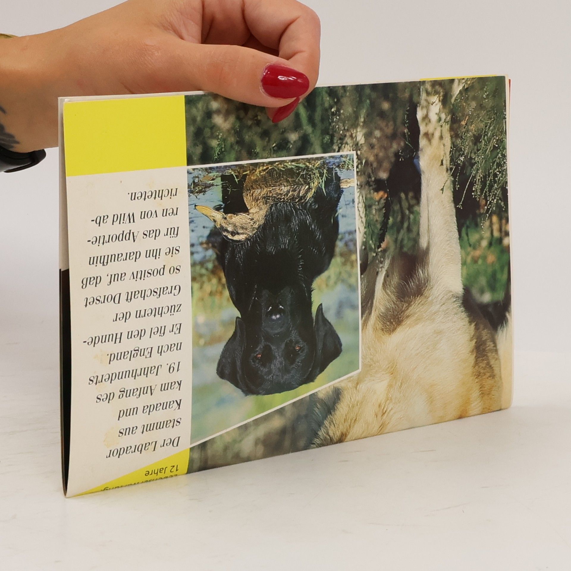 Various authors Labrador Retriever