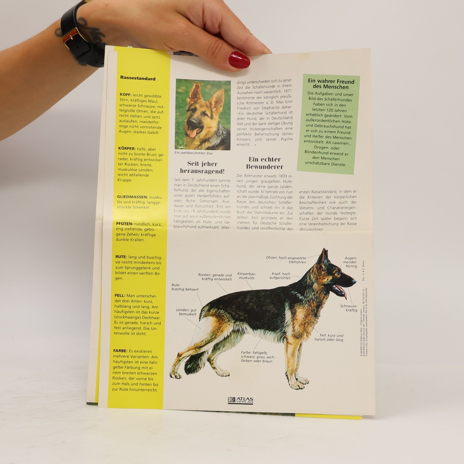 Various authors Labrador Retriever