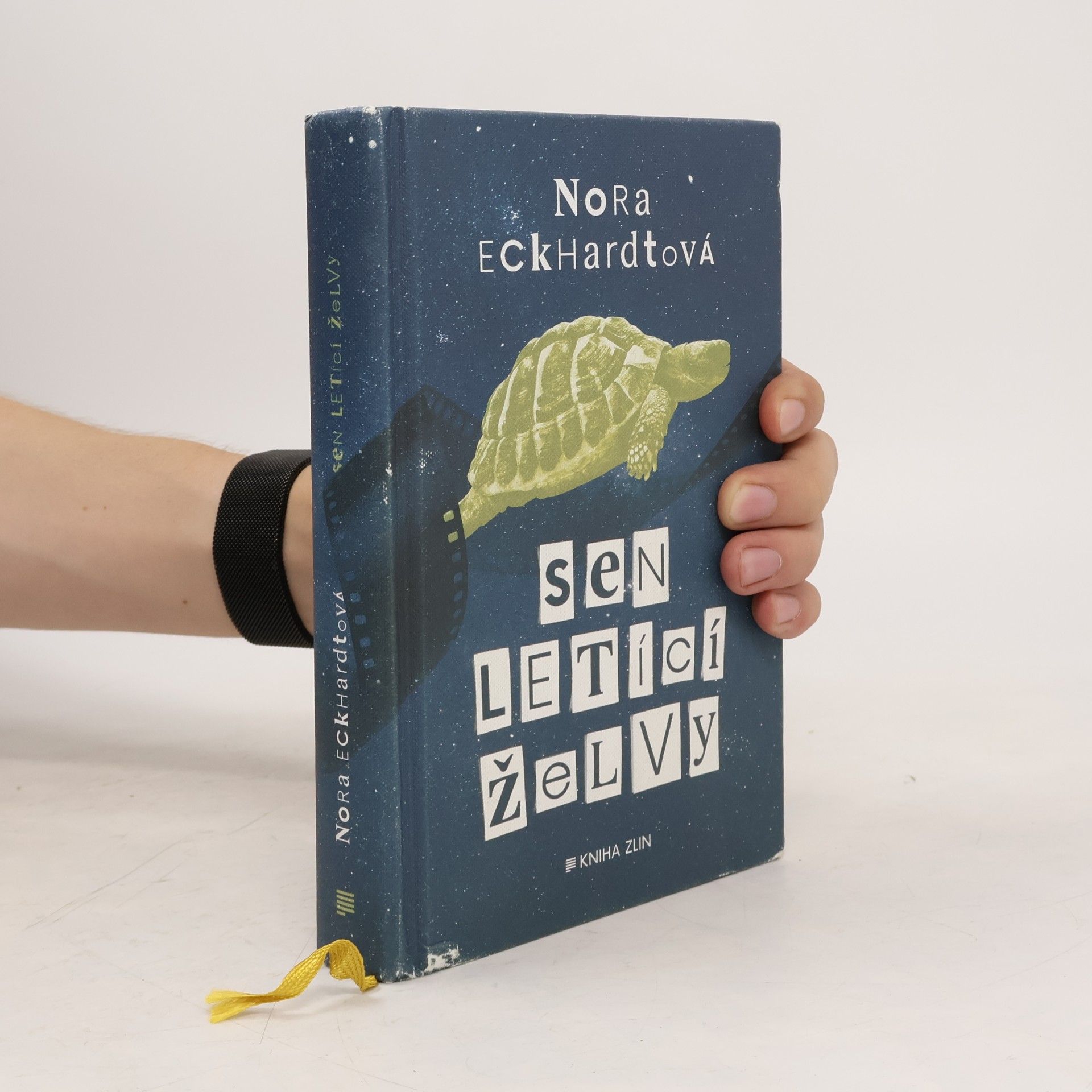 Nora Eckhardtová Sen letící želvy