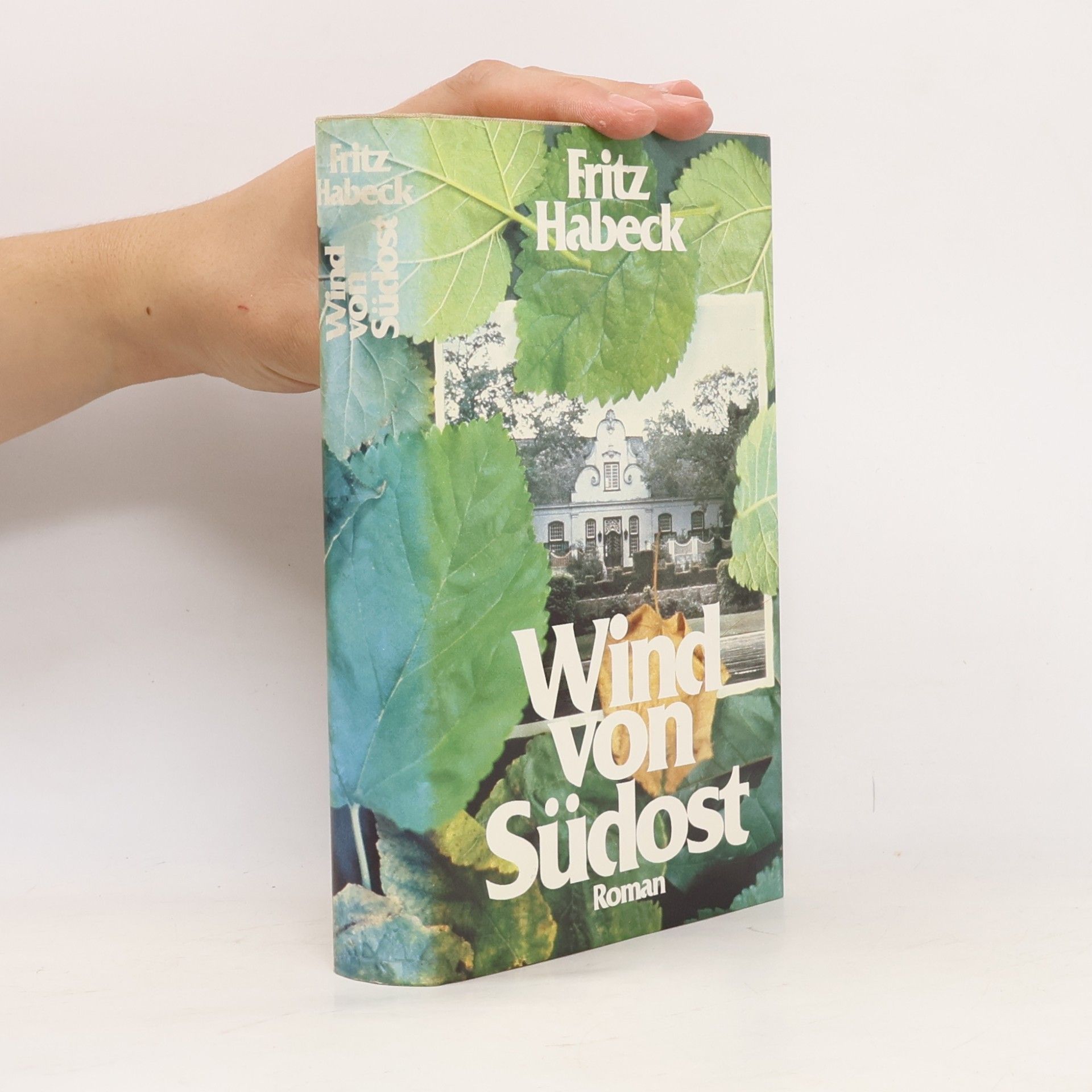 Fritz Habeck Wind von Südost