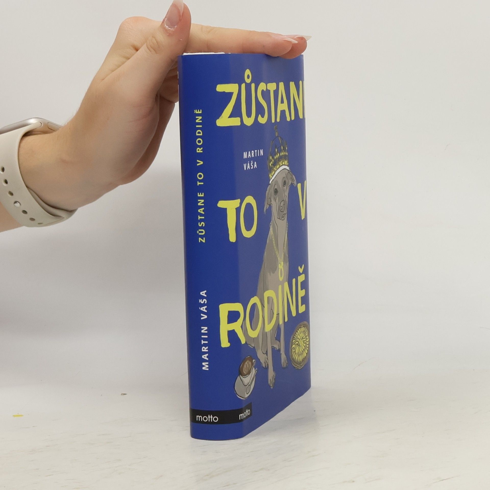 Martin Váša Zůstane to v rodině