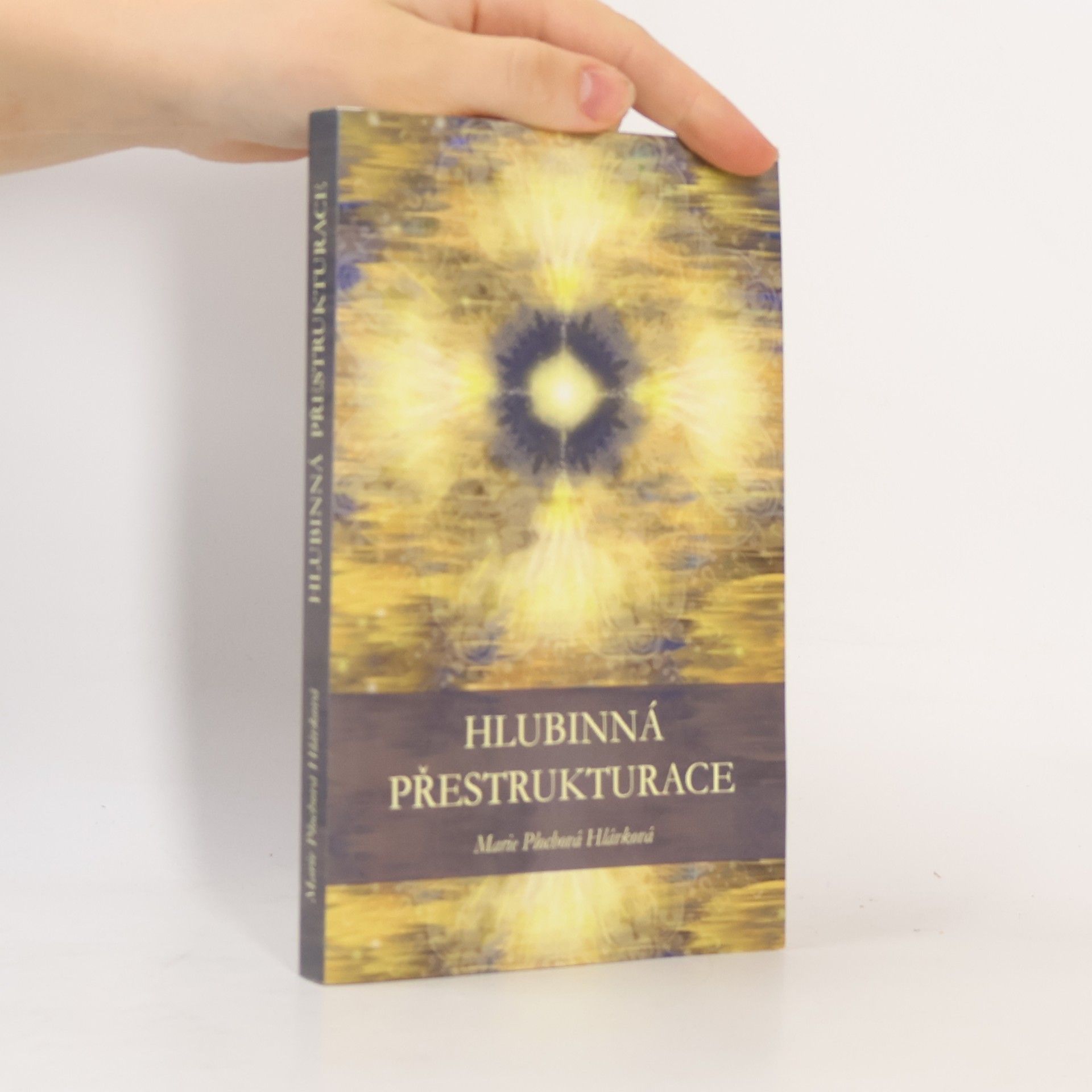 Marie Plochová Hlávková Hlubinná přestrukturace