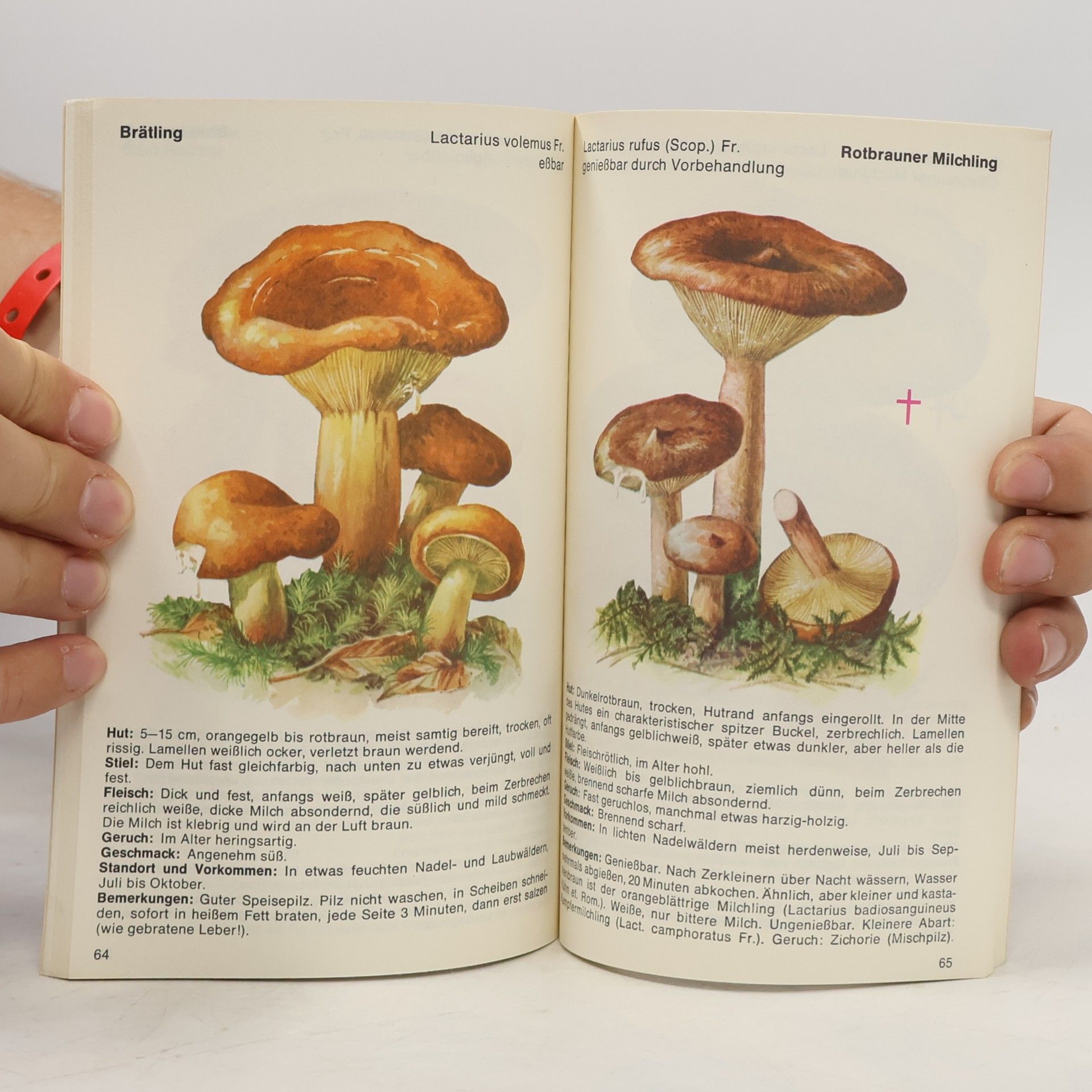 Karl-Dietrich Keller Das Heyne-Pilzbuch
