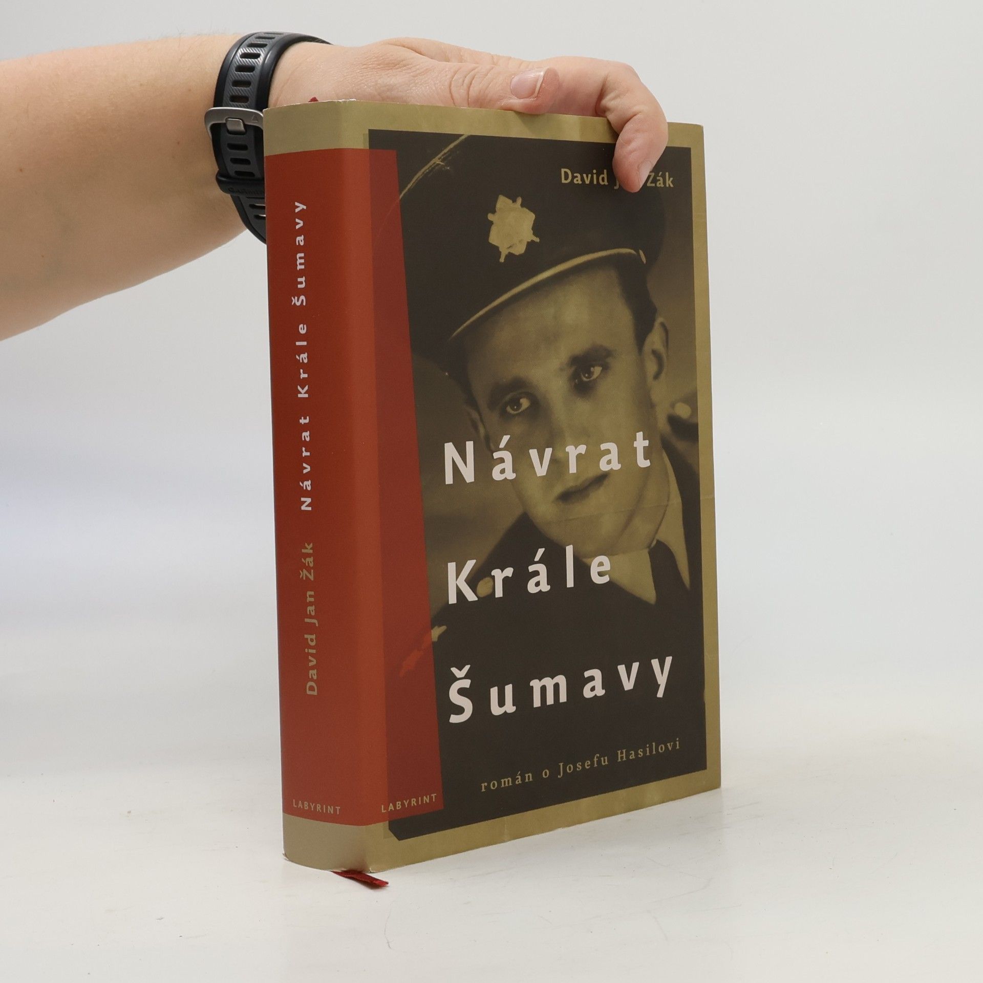 Návrat Krále Šumavy
