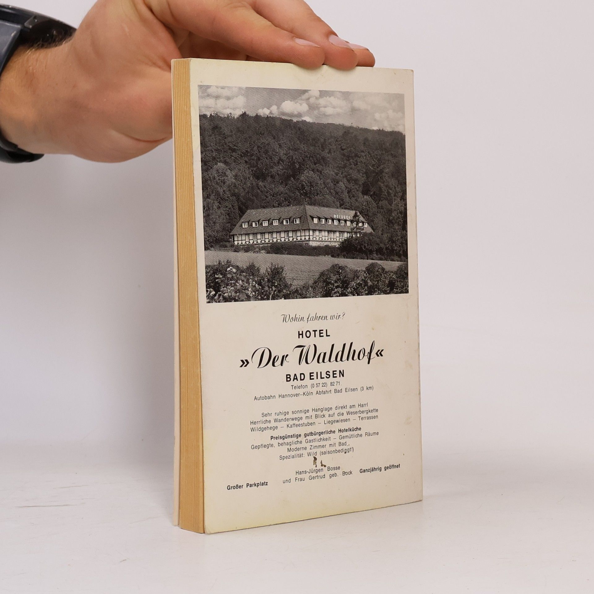 Gerhard Dierssen Gelbe Führer I. Weserbergland, Lippe, Teutoburger Wald