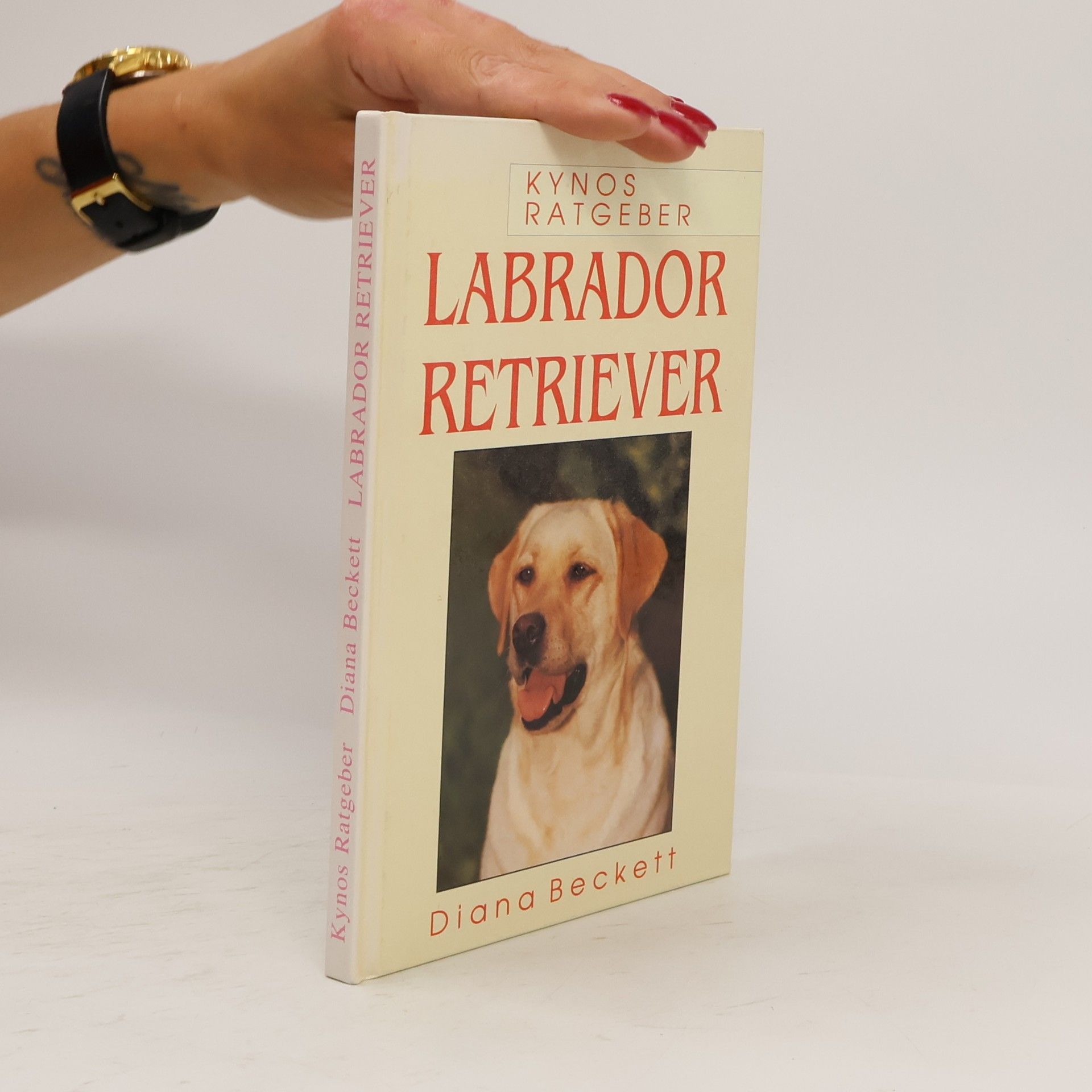 Diana Beckett Labrador Retriever