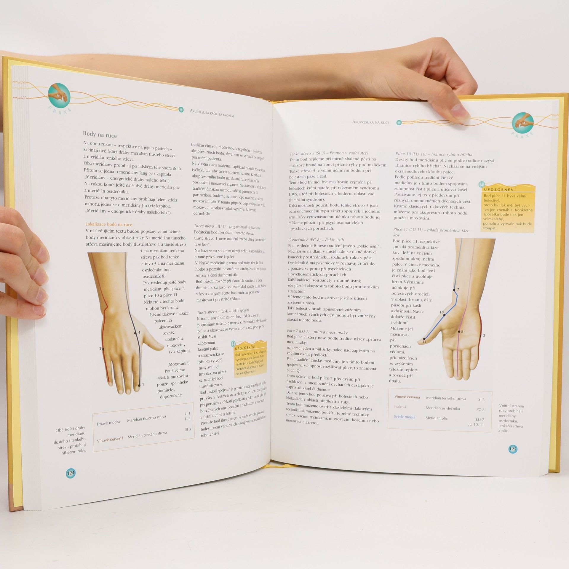 Bernard C. Bernard Carl Kolster Velký atlas akupresury